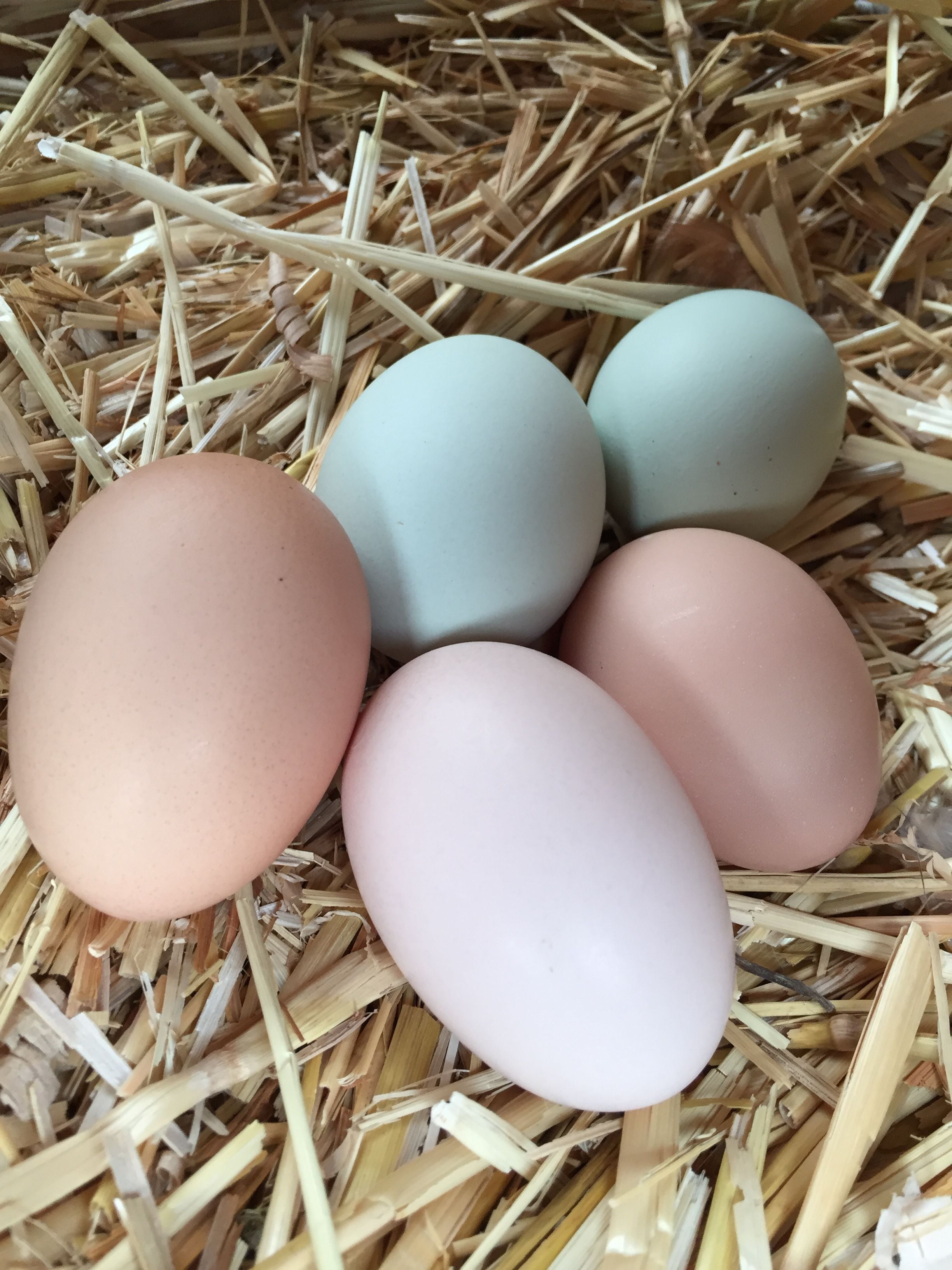 We're still getting plenty of eggs
