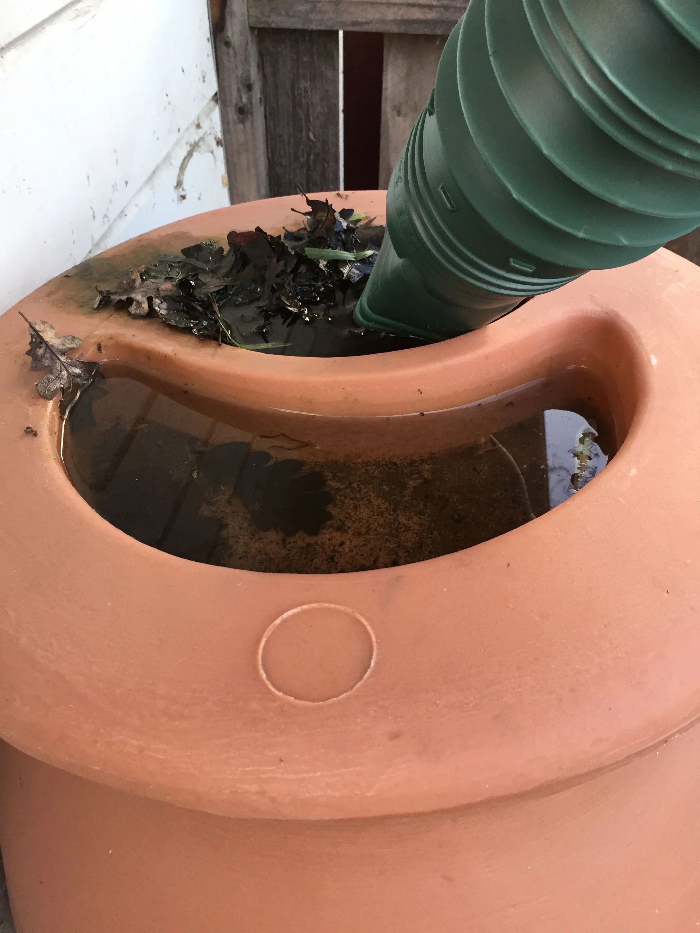 Full. Of water AND leaves.