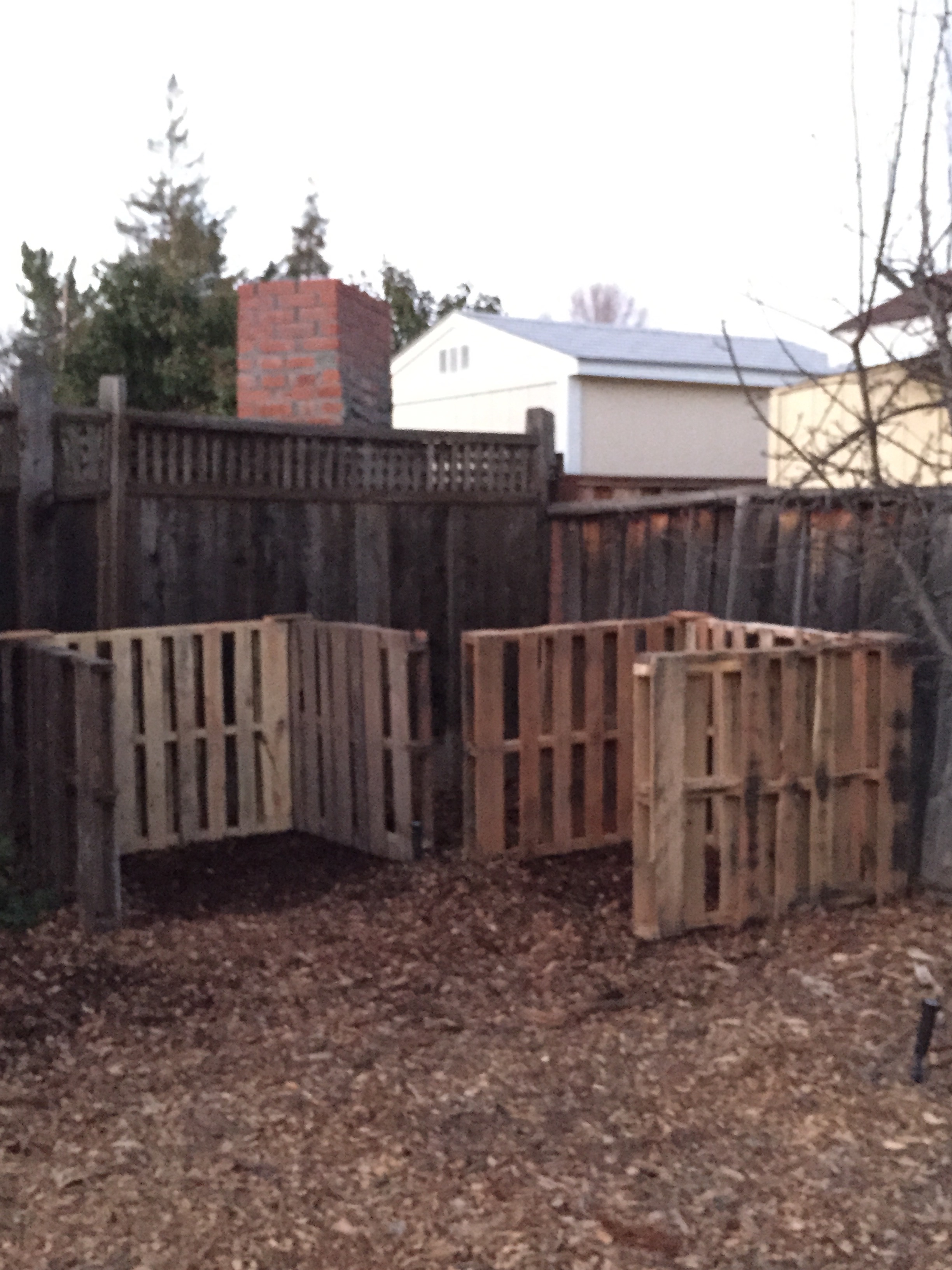 These are how they looked right after we built them, before raised beds went in front. It didn't take long to fill them both up. You can find pallets for free from any hardware or feed store - just make sure they are marked with an "HT" which means heat-treated. These are safe to use.