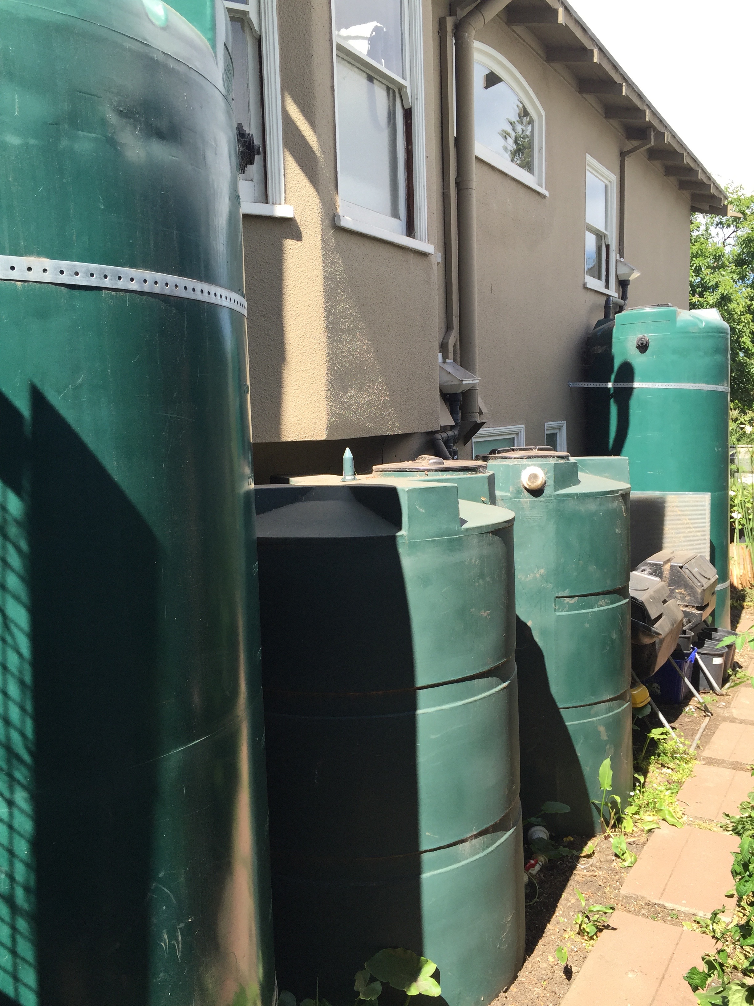 Serious rainwater collection. We need these.