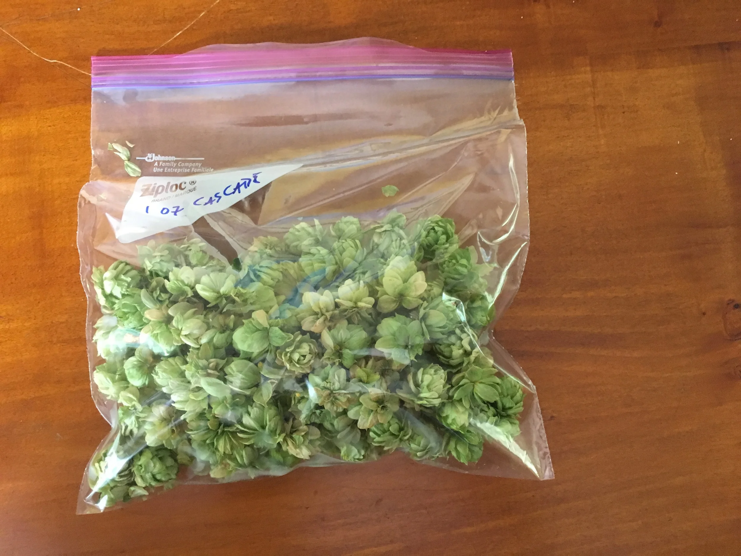 I swear, officer, it's my friend's bag