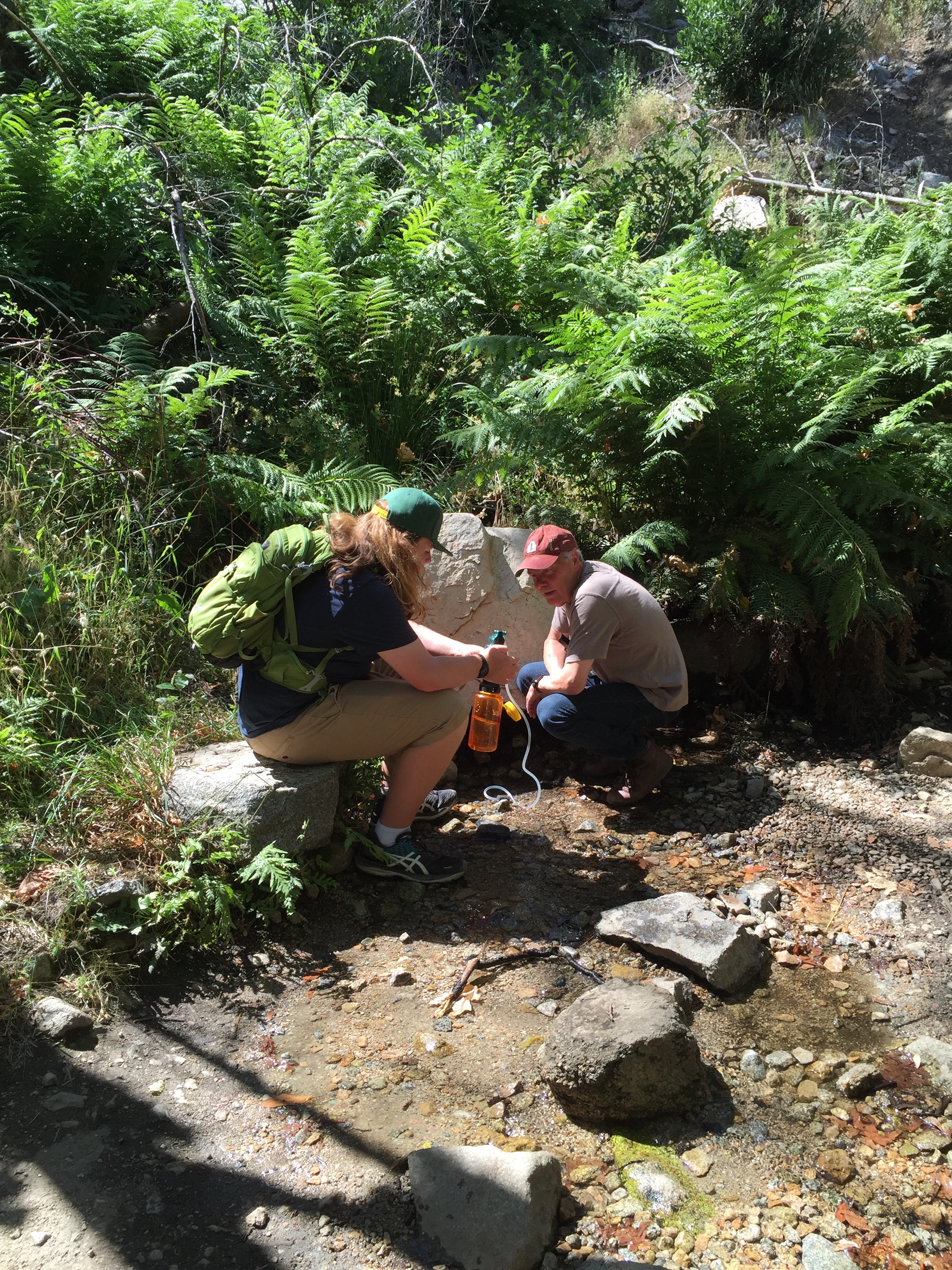 filtering water in a shallow stream