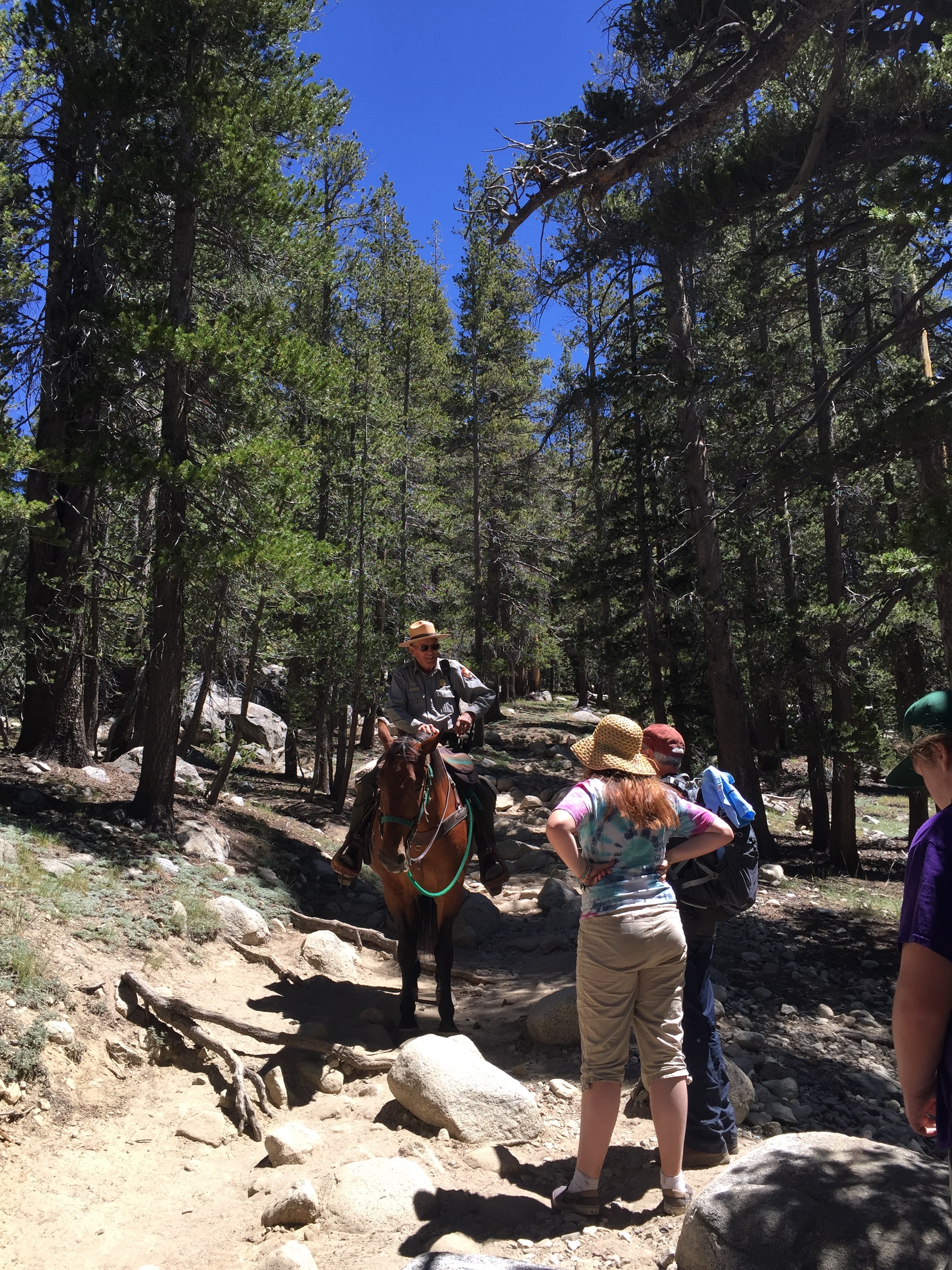 We met a ranger (and his horse, King) on the trail. The rocks in the trail were challenging for us, but must have been even harder for King.