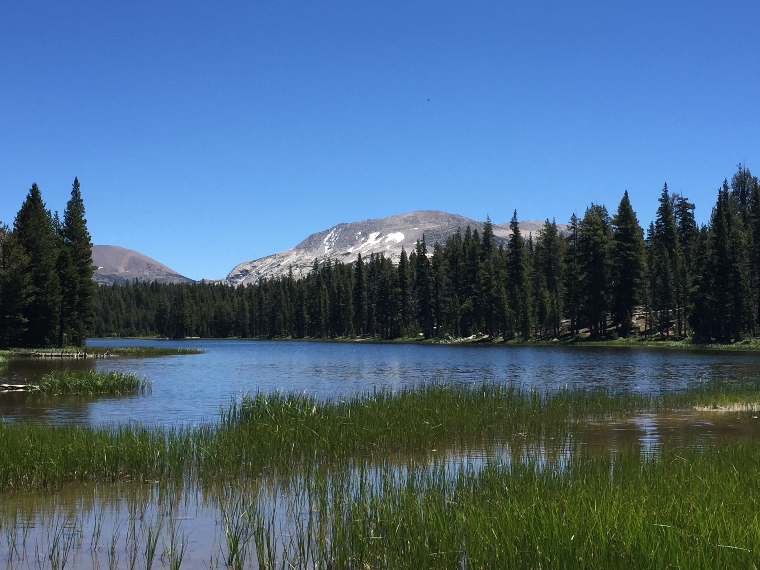 Dog Lake. Those mountains in the distance still have snow on their North slopes.