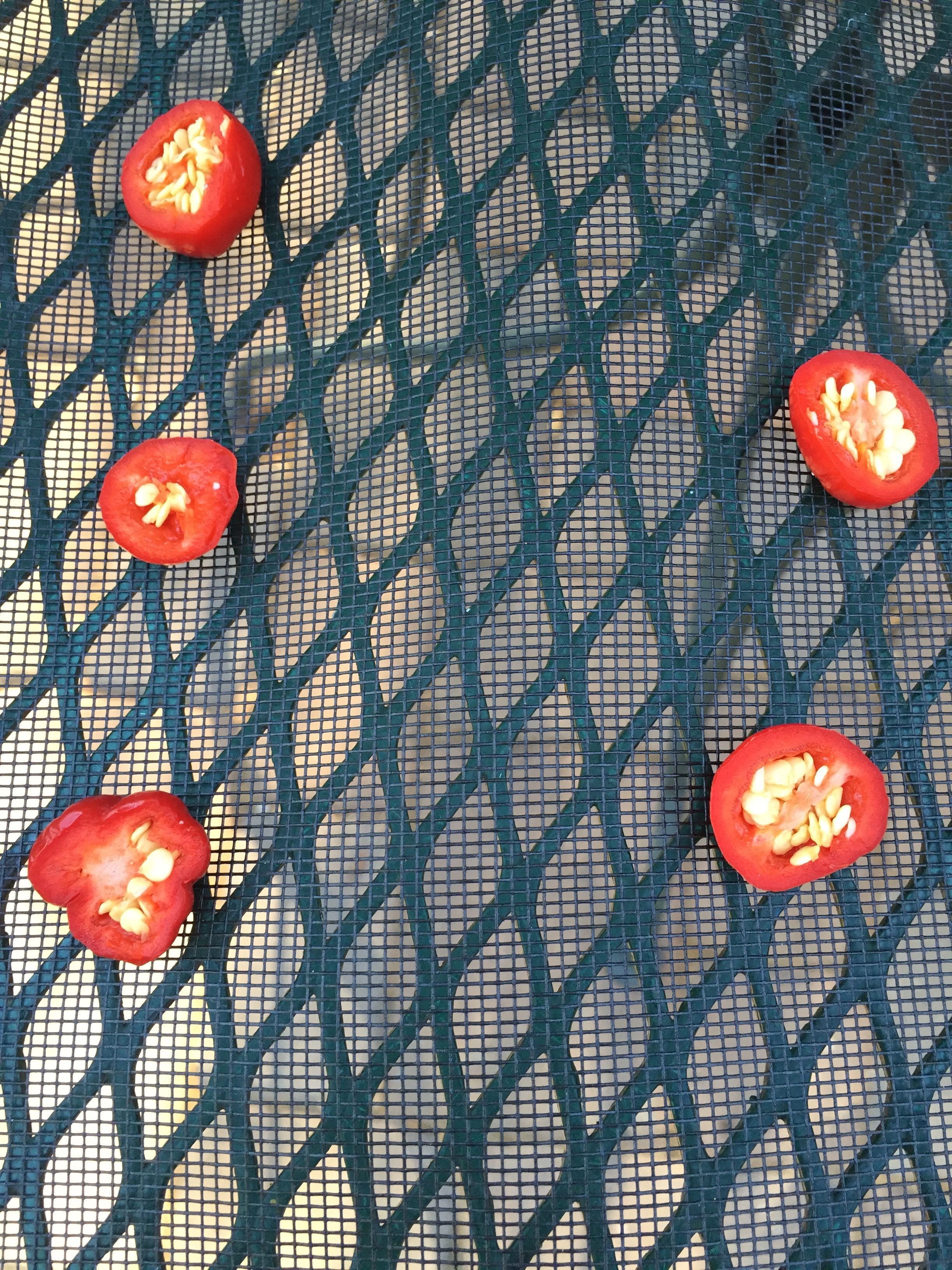 These seem to take a half a day to dry completely