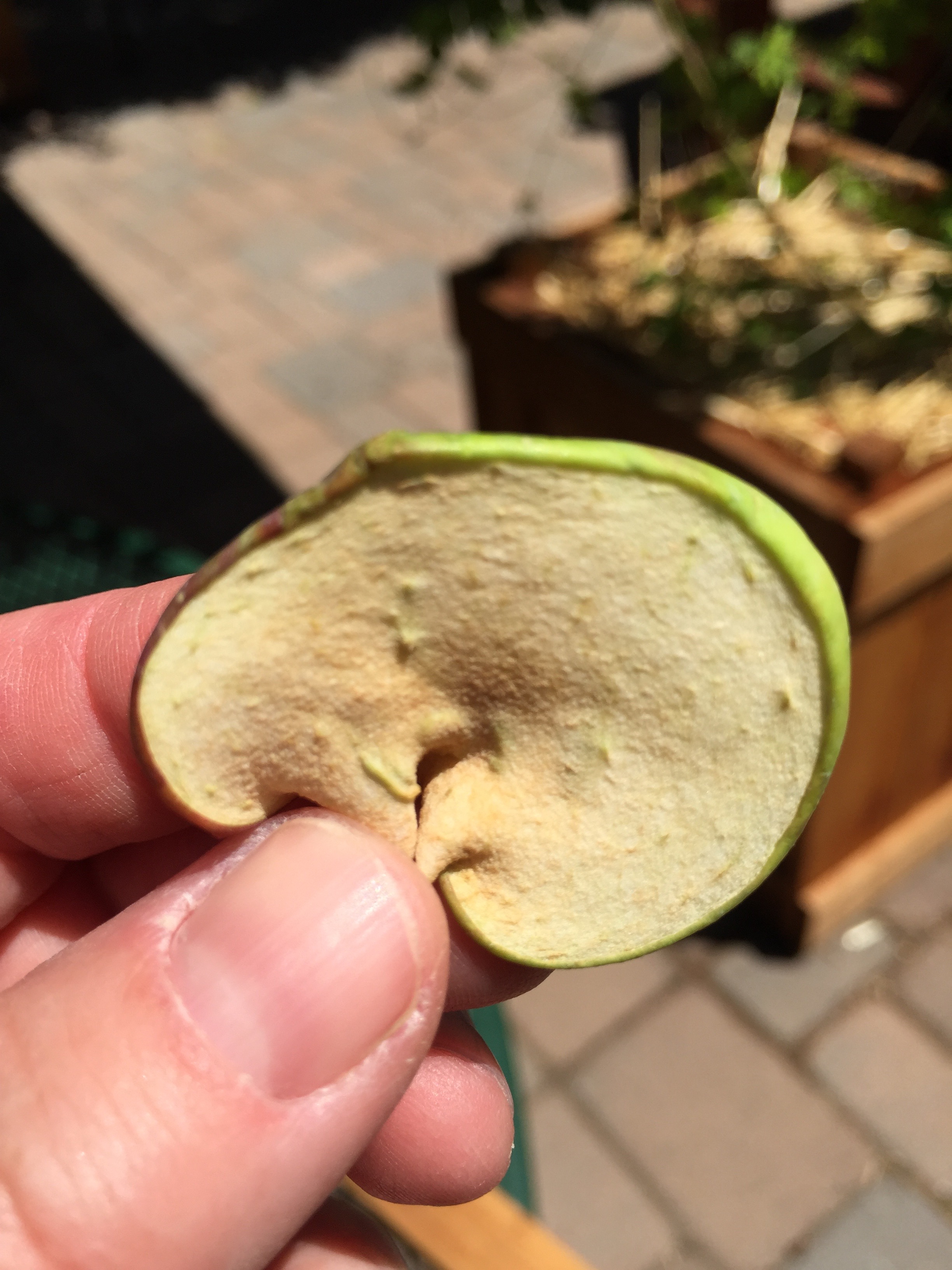 apple chips are fast, depending how thin you slice them