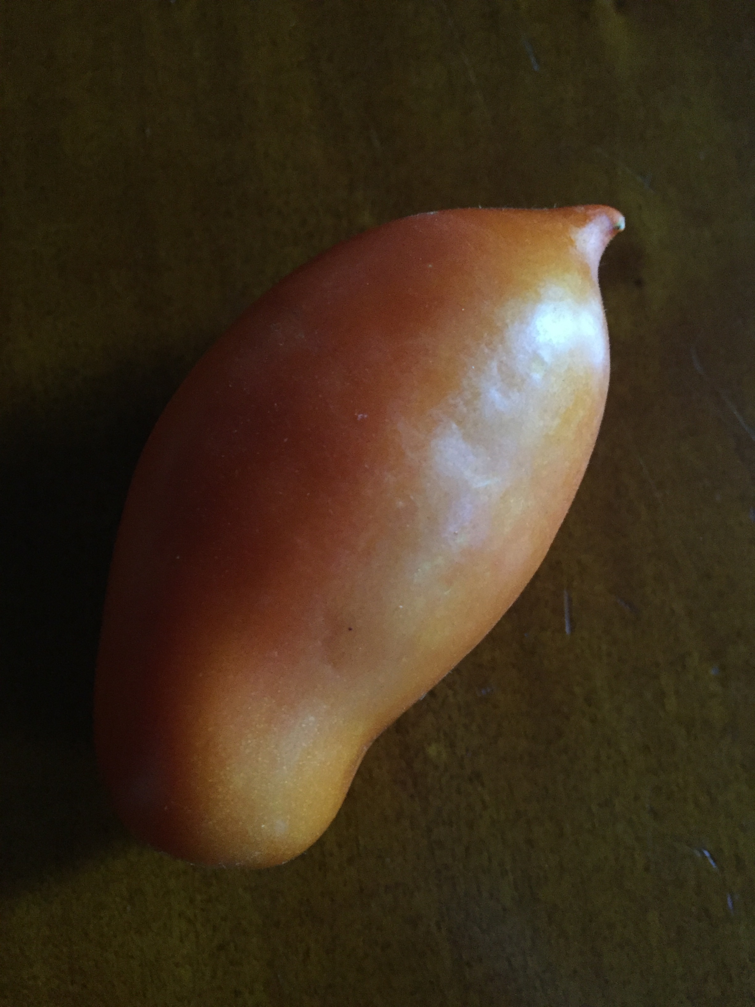 La Roma III, almost ripe