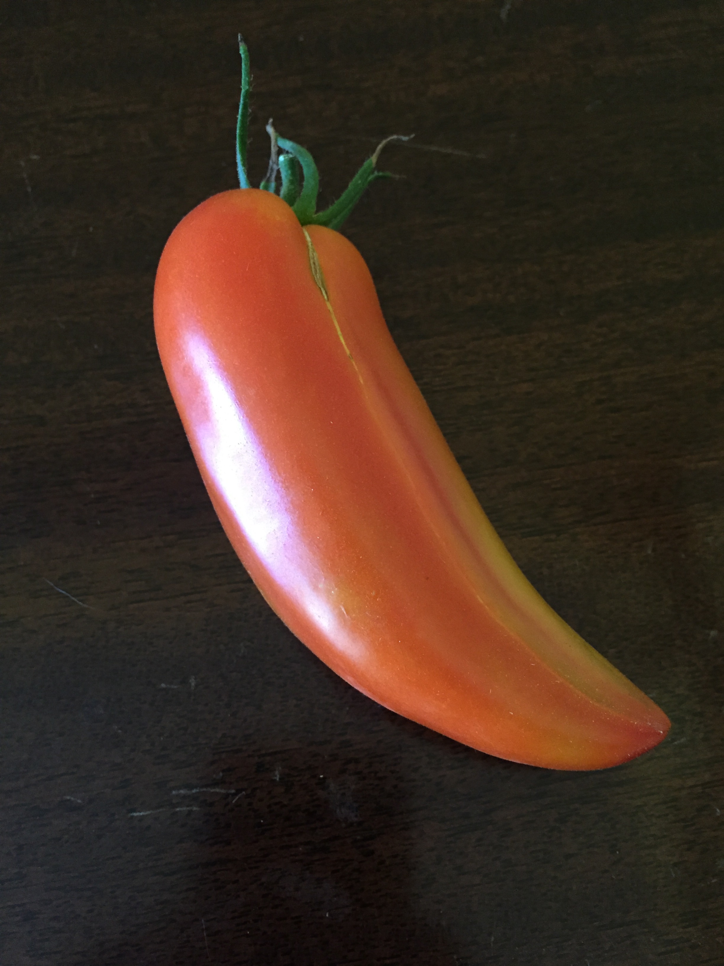 ripe Federle