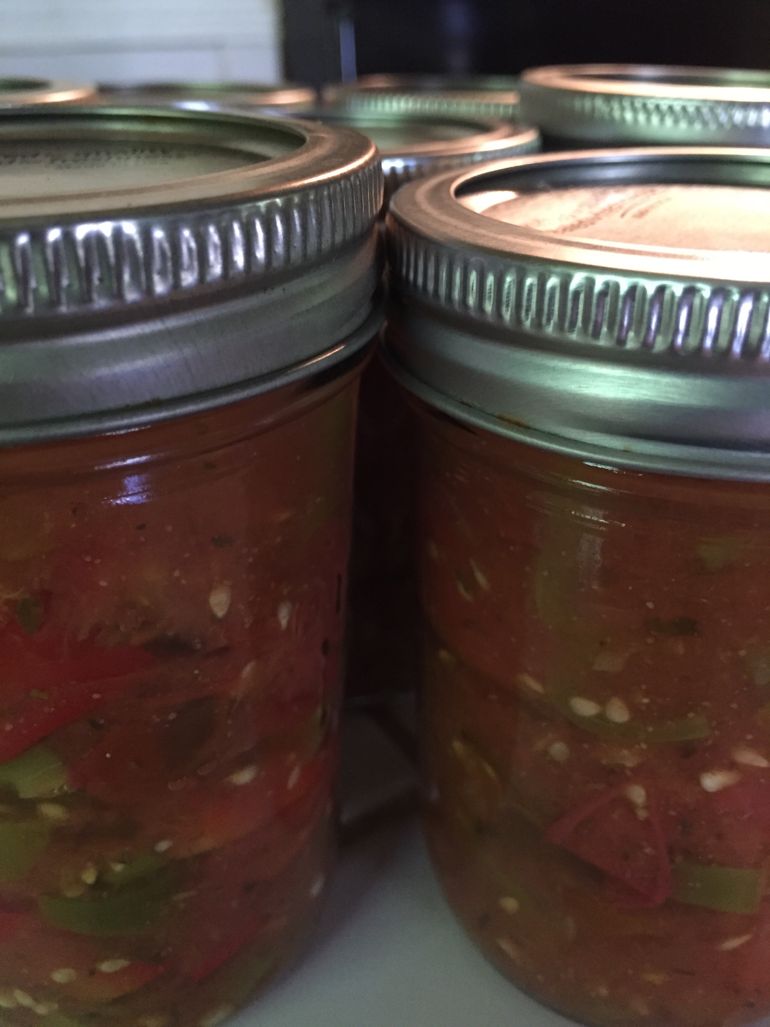 As you can see, we don't mind skins or seeds in our salsa.