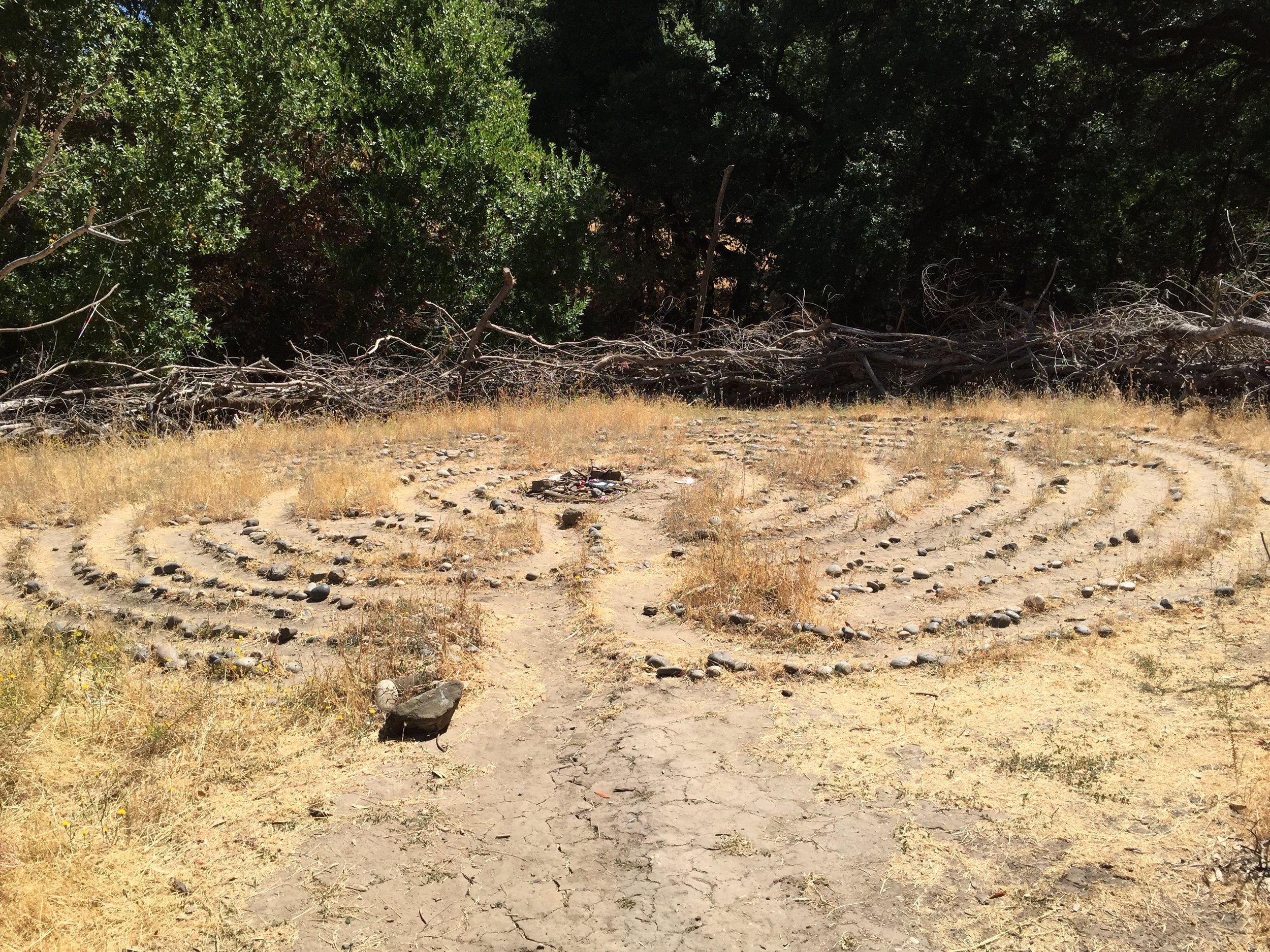 An unexpected labyrinth, surrounded by a thorny boma 