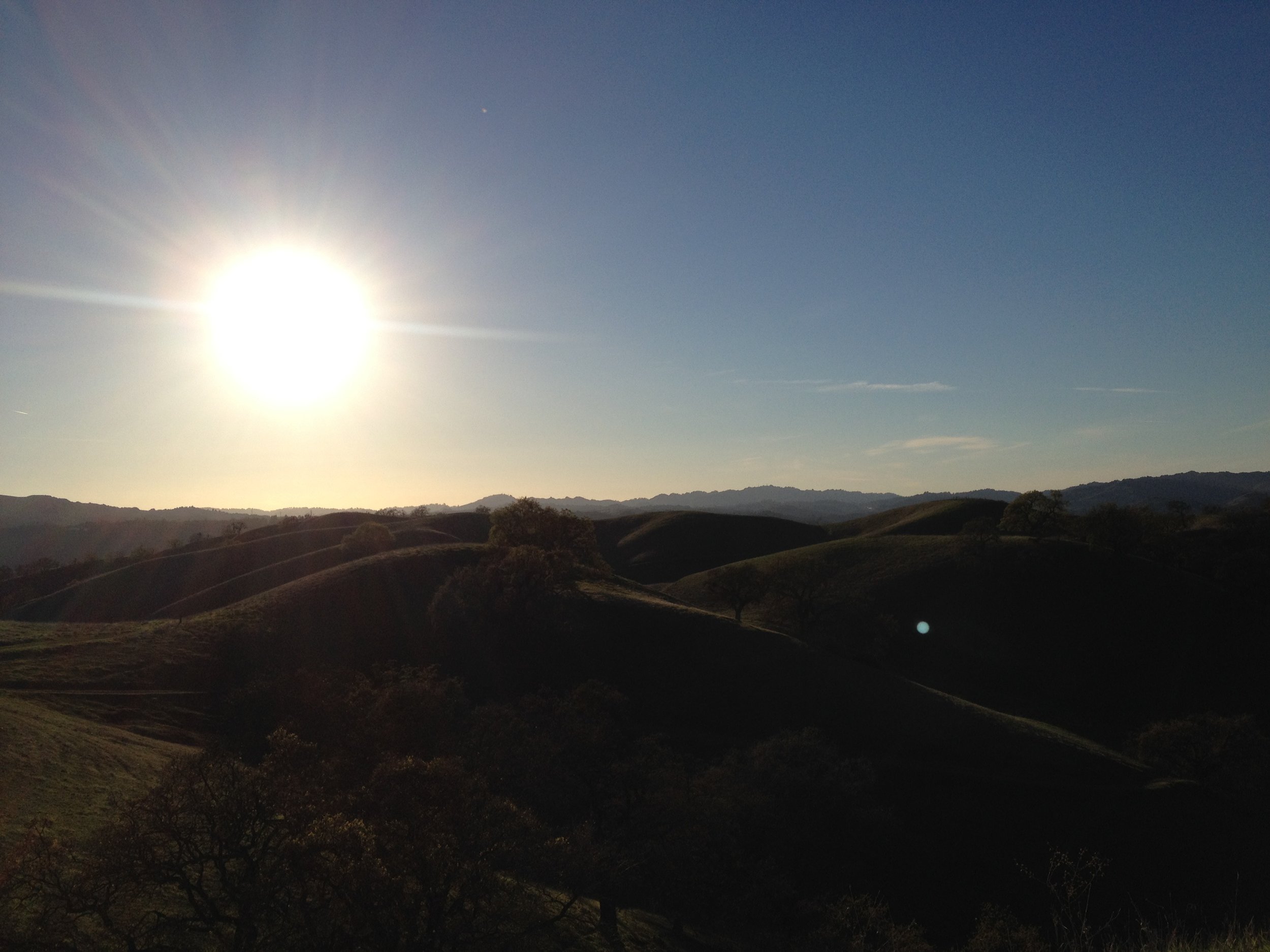 Diablo Foothills Regional Park, 2014