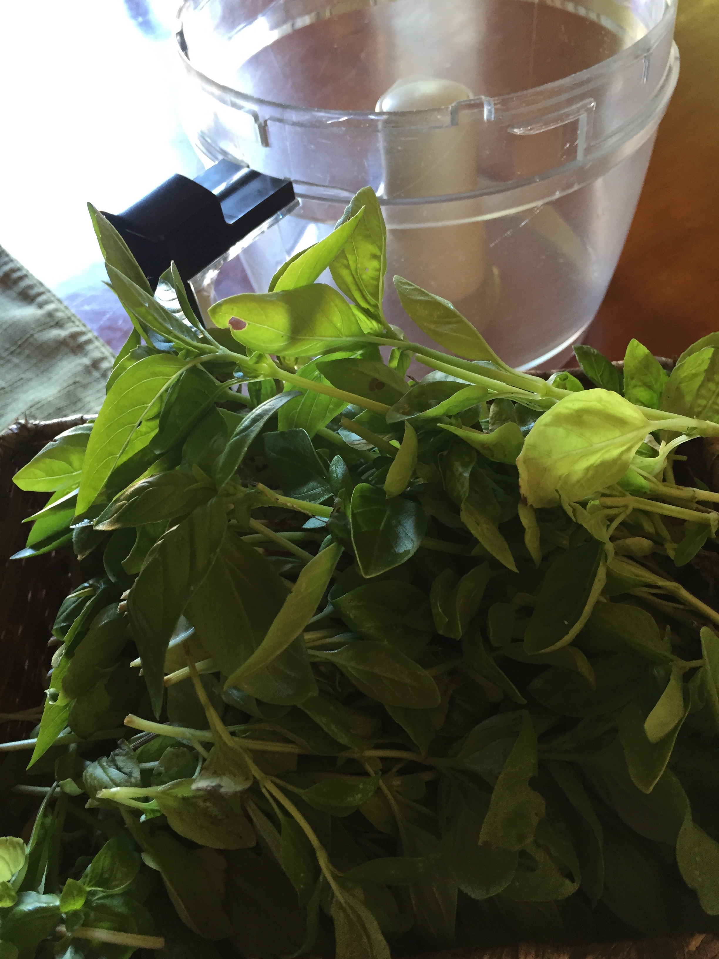 Some basil gets pureed with olive oil and frozen in cubes.