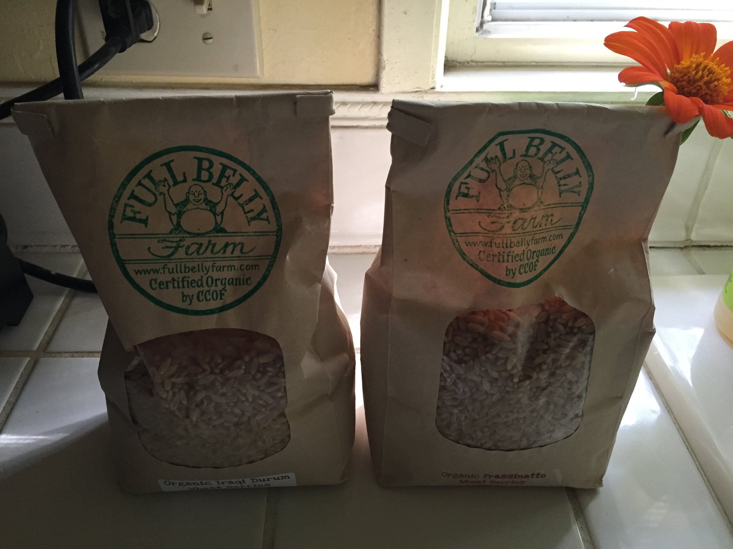 I like their Iraqi Durum, Frassanetto, and White berries.
