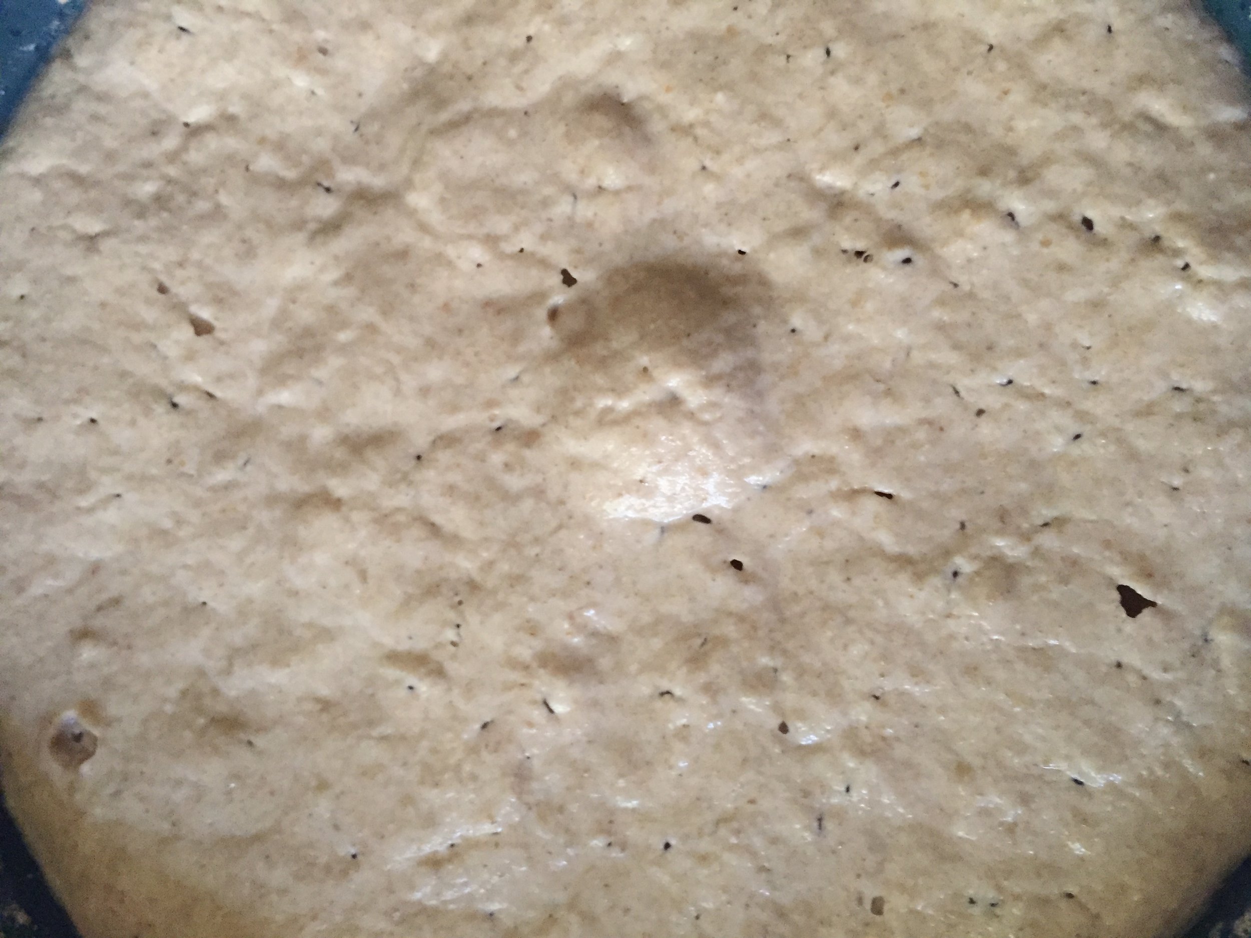This is my levain, prepared last night and left to bubble until this morning.