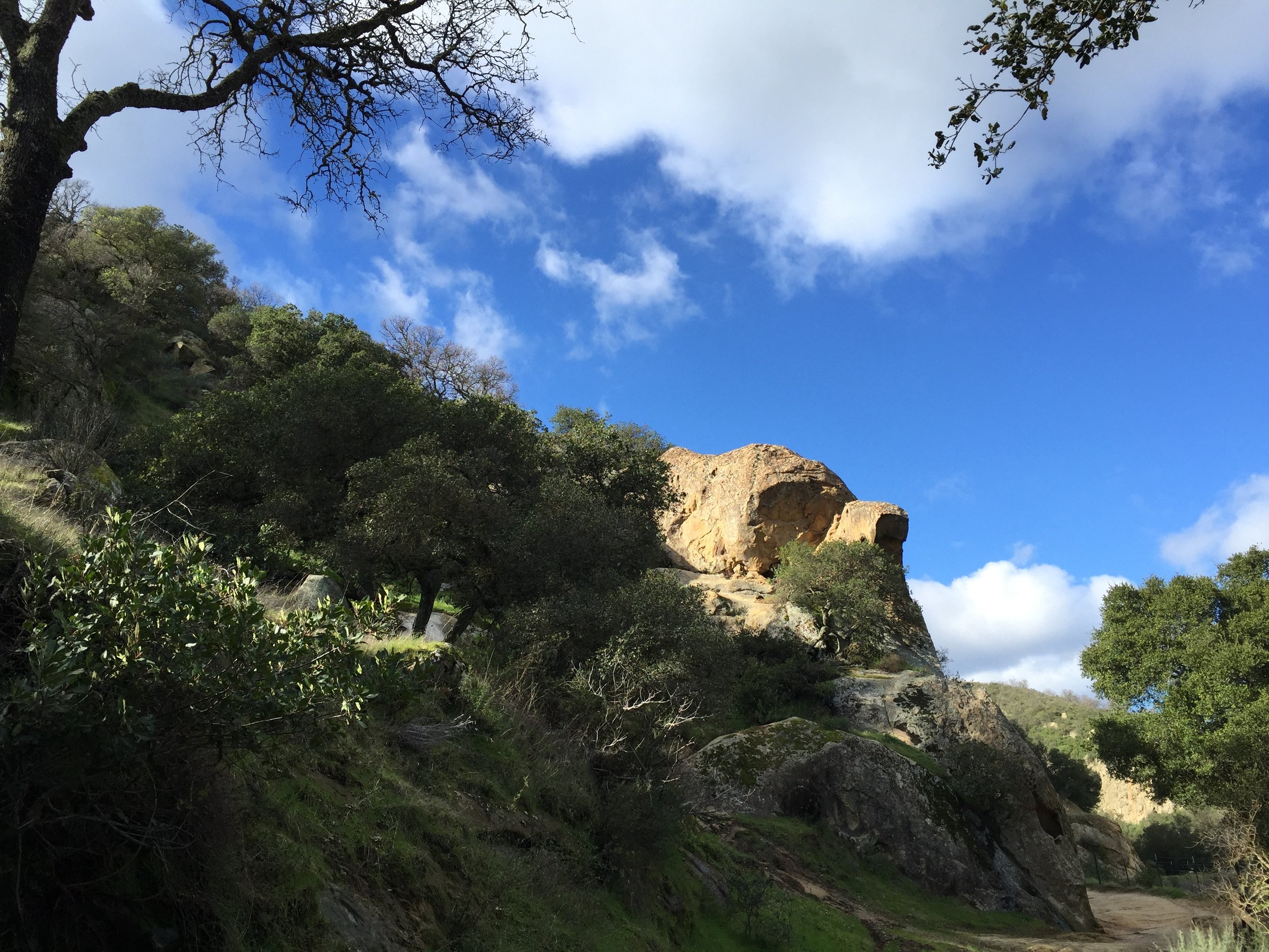 Diablo Foothills, Castle Rock park, this past Tuesday's hike