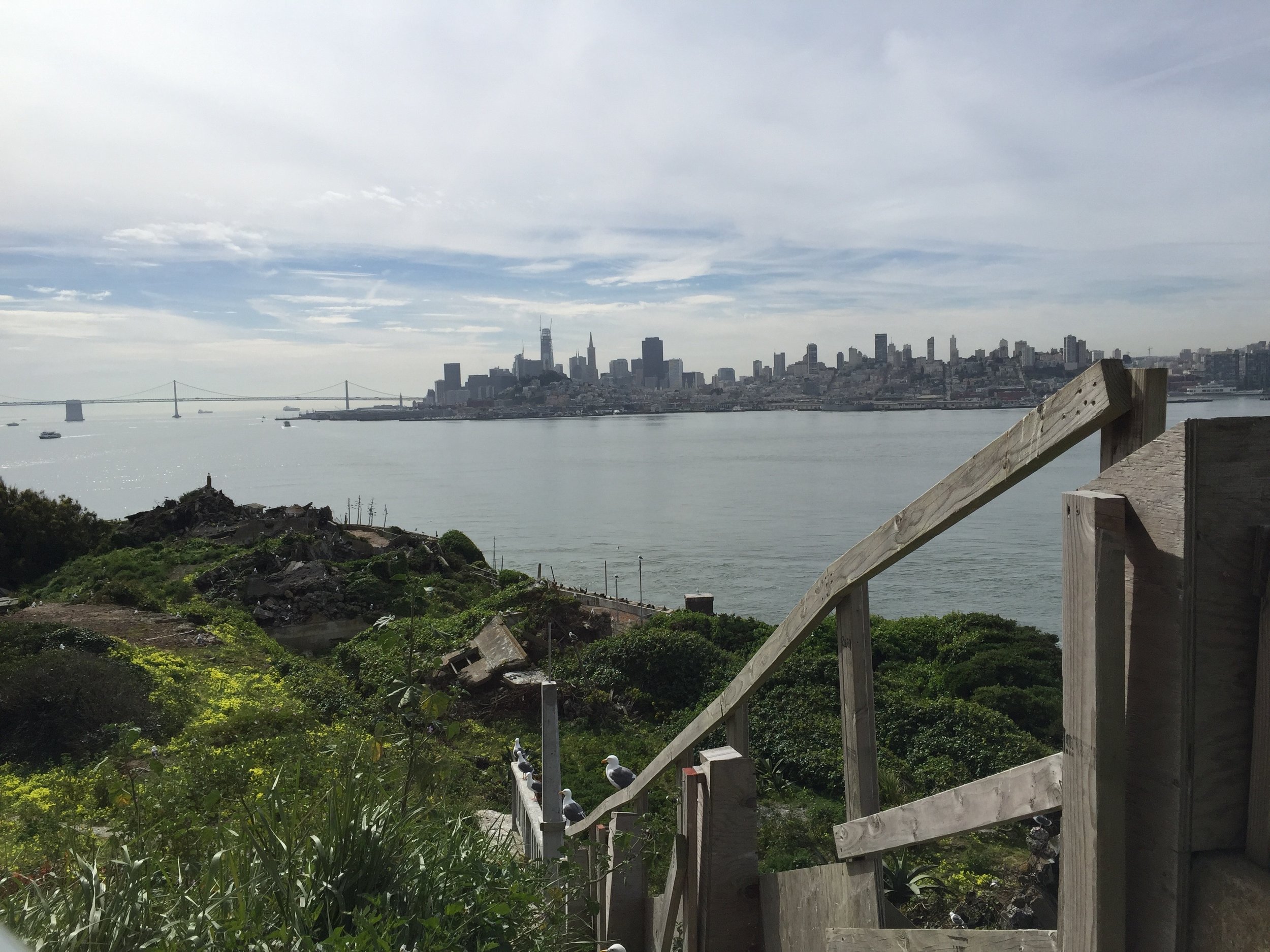Seagulls nesting in an abandoned yard, and in the ruins of the guard's cottages; looking south to the San Francisco skyline, and part of the Bay Bridge