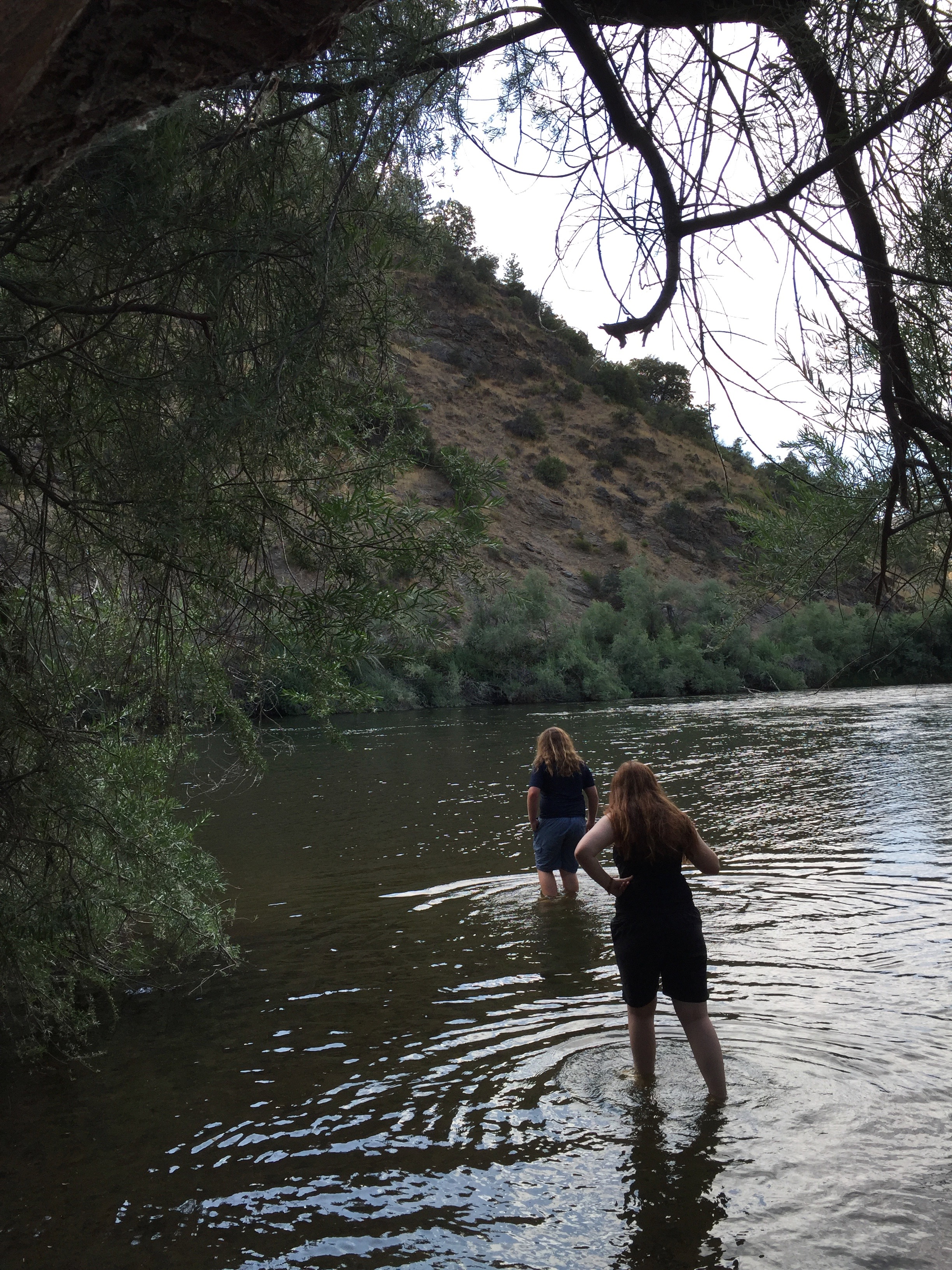 Swimming in the Klamath, not too cold (65 degrees maybe? the warmest water we swam in the entire trip)