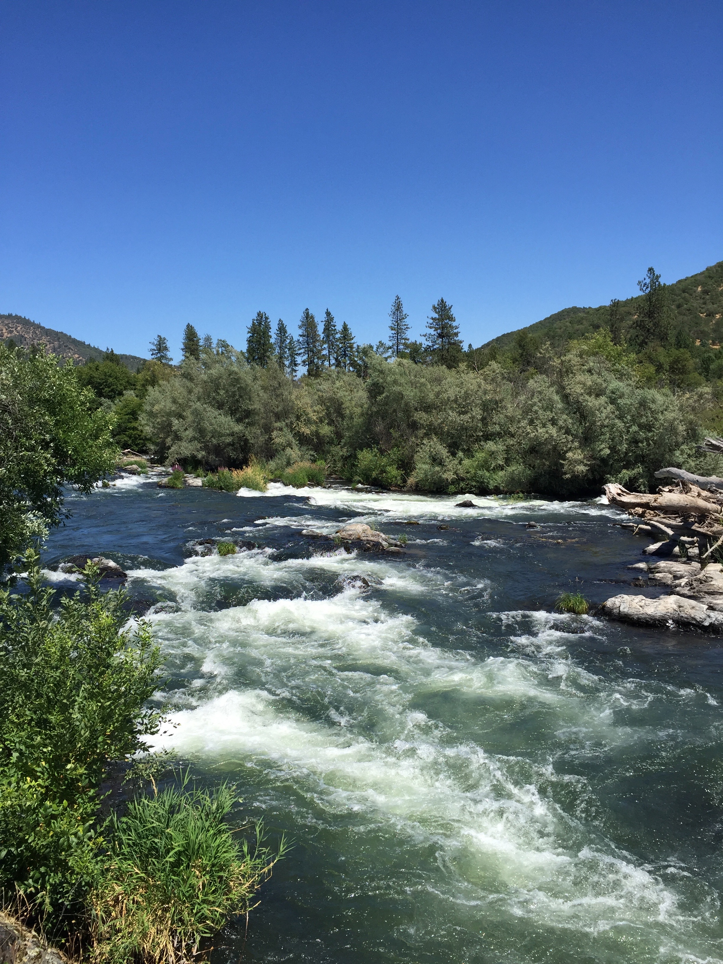 the Rogue River
