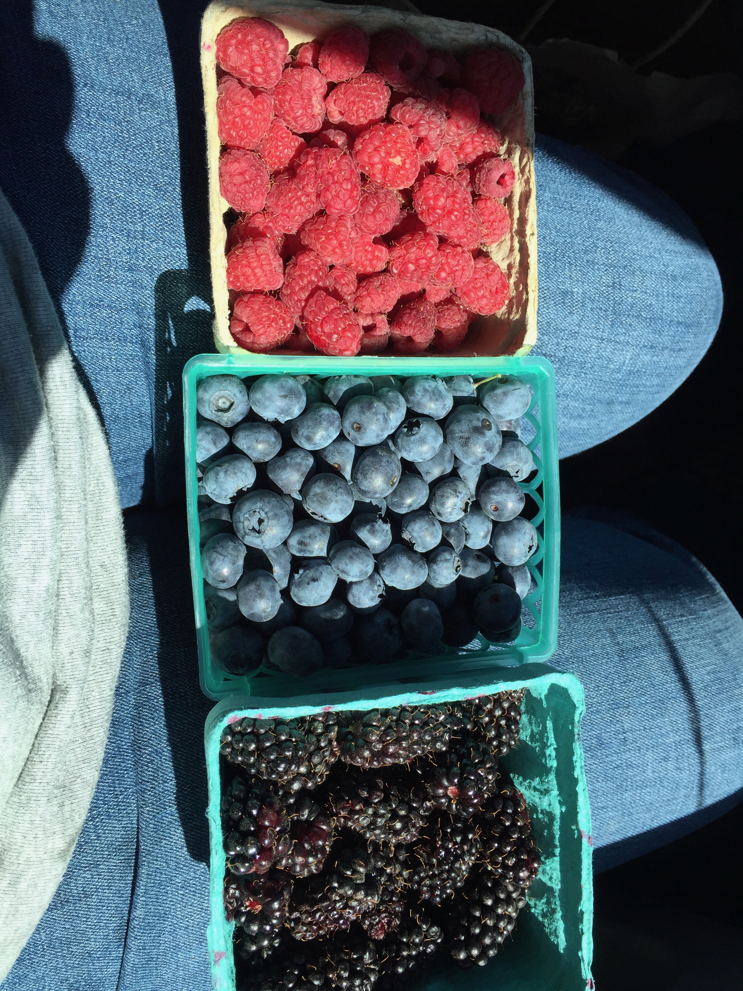 a lap full of berries