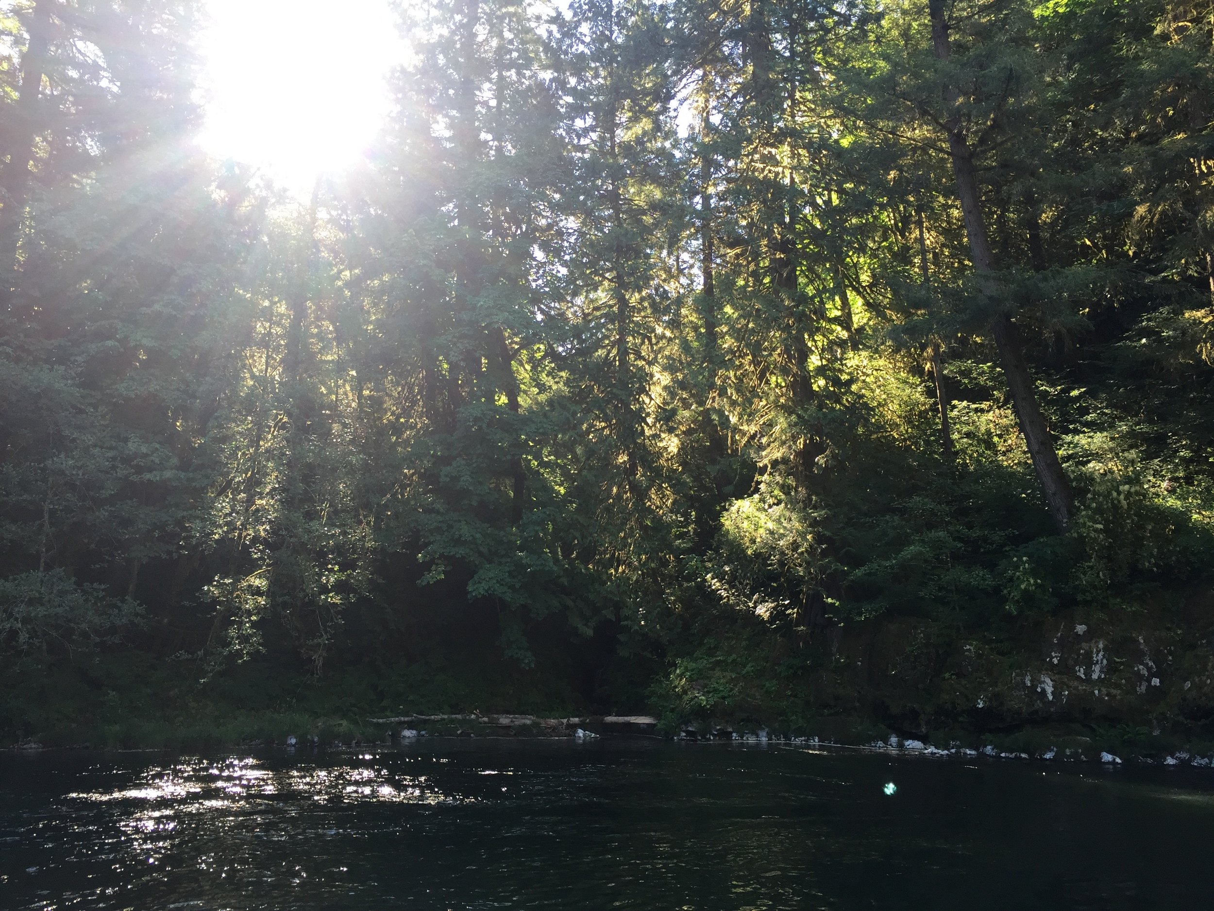 The river in the morning