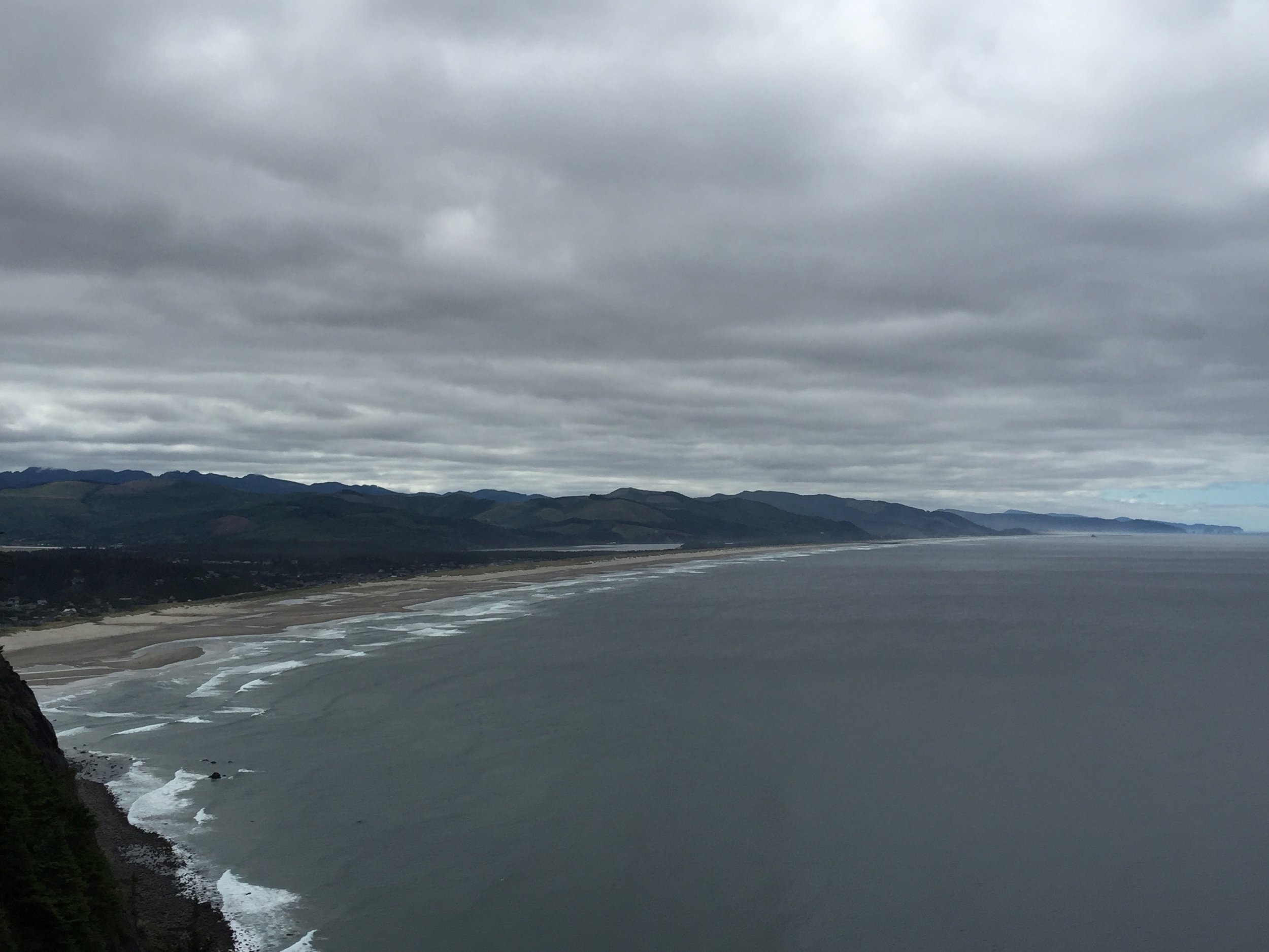 a foggy, windy coast morning
