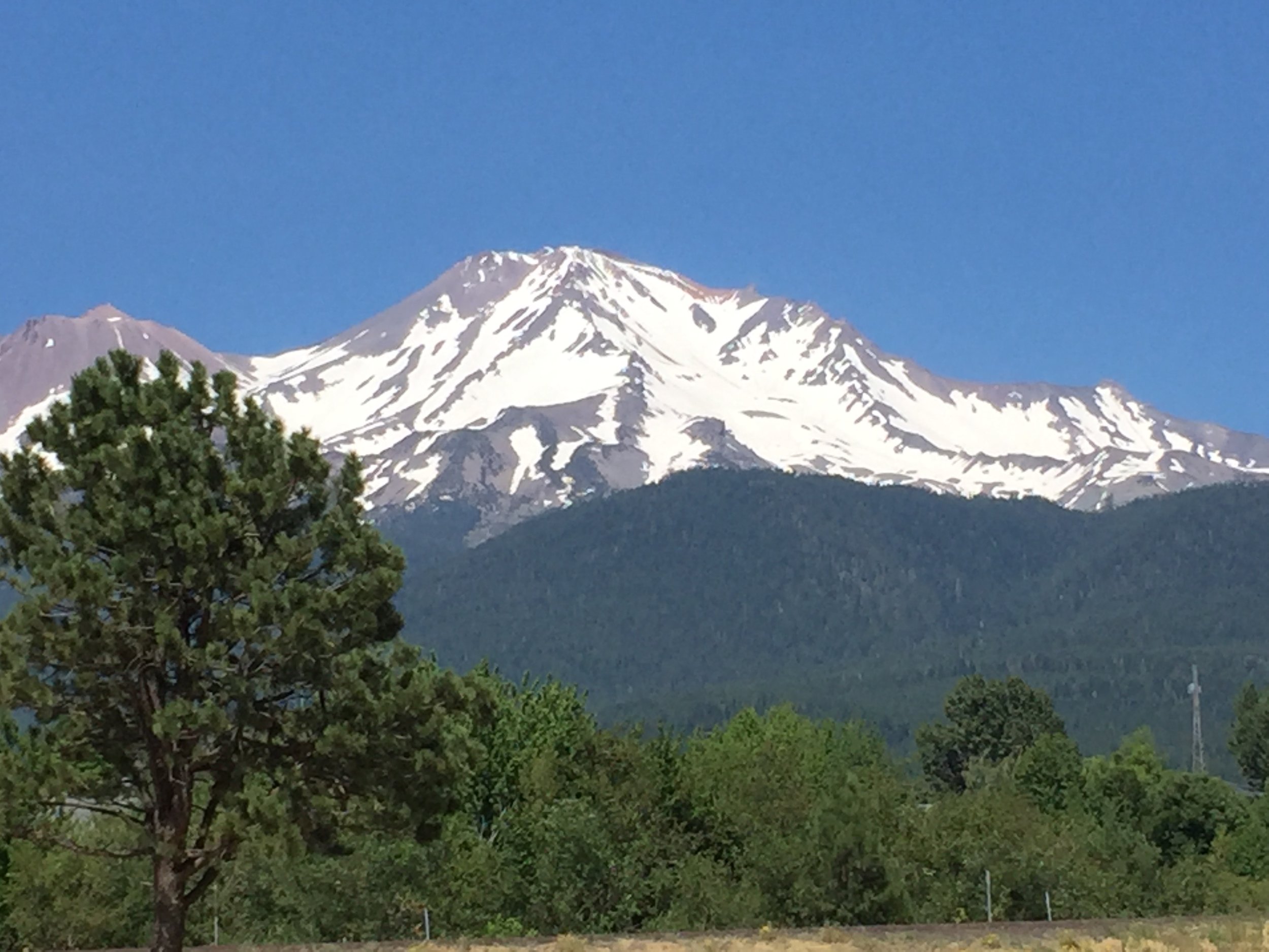 Mt Shasta