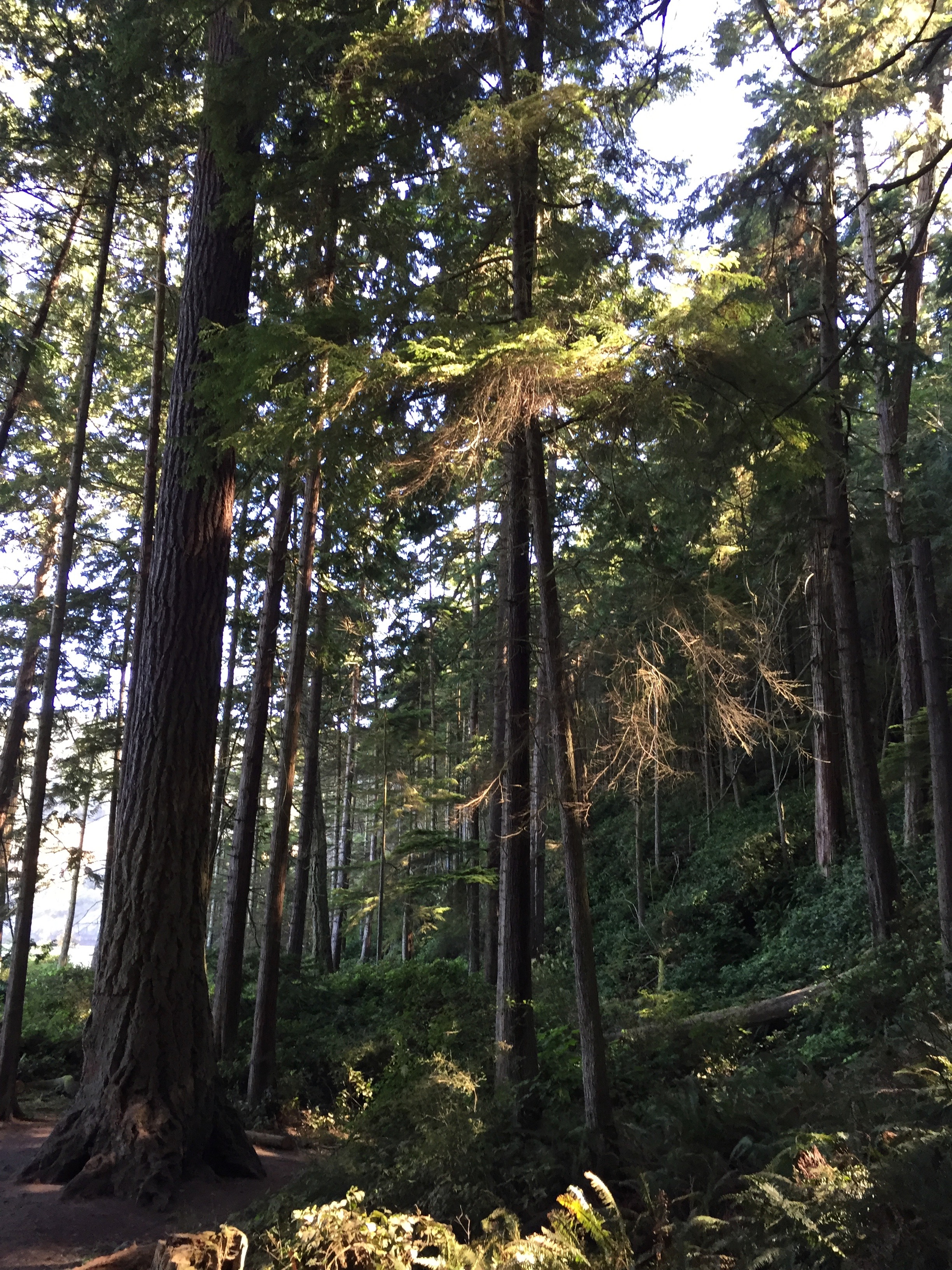 Oak Harbor, Whidbey Island, Washington