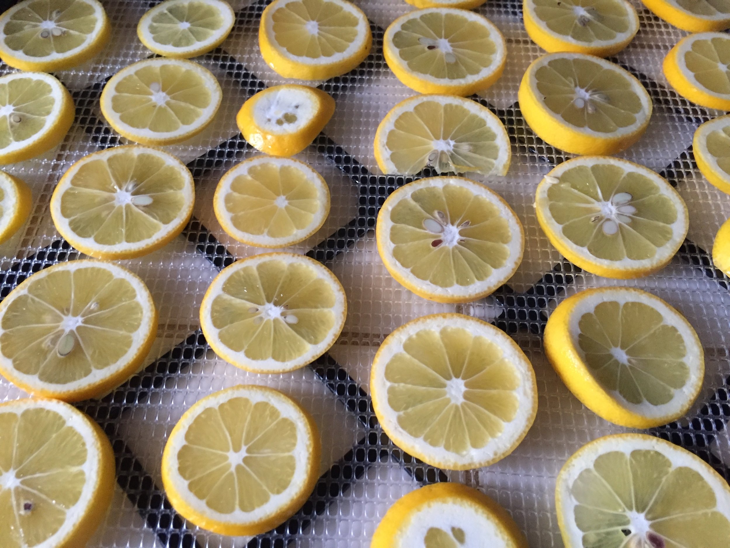Dehydrated Lemons to Preserve your Crop