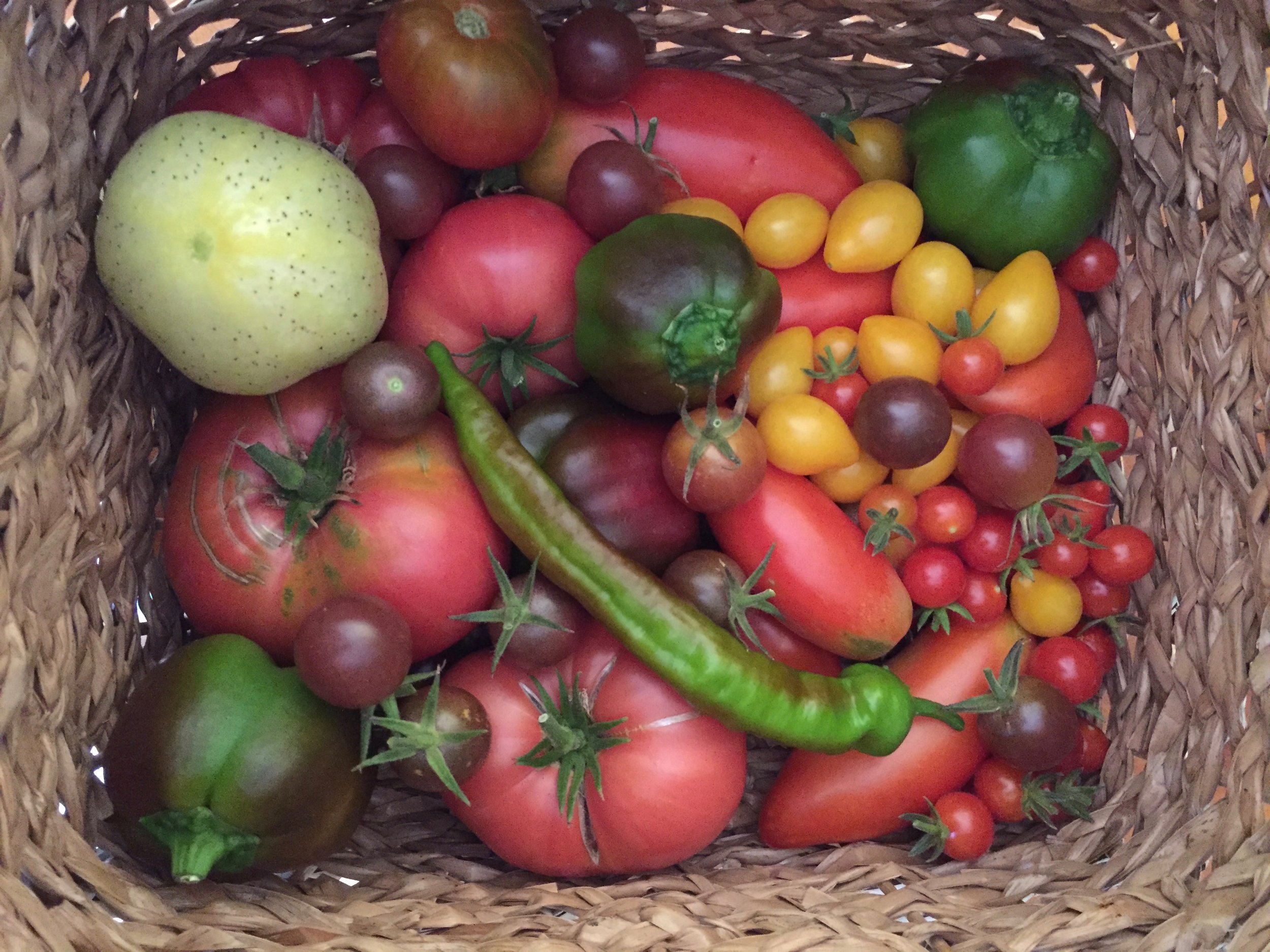 My own personal Farmers Market, right outside the back door