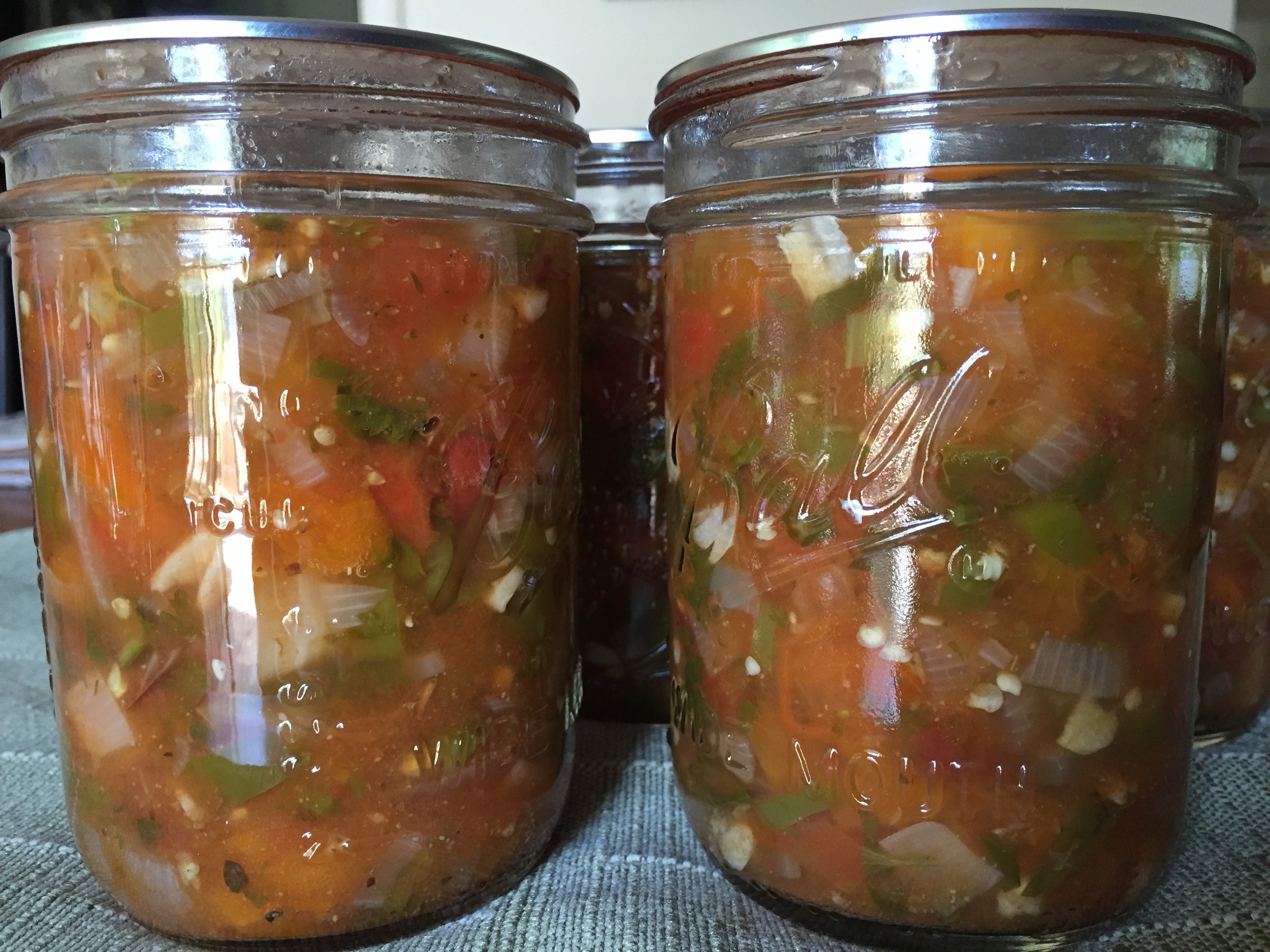 salsa, summer 2017