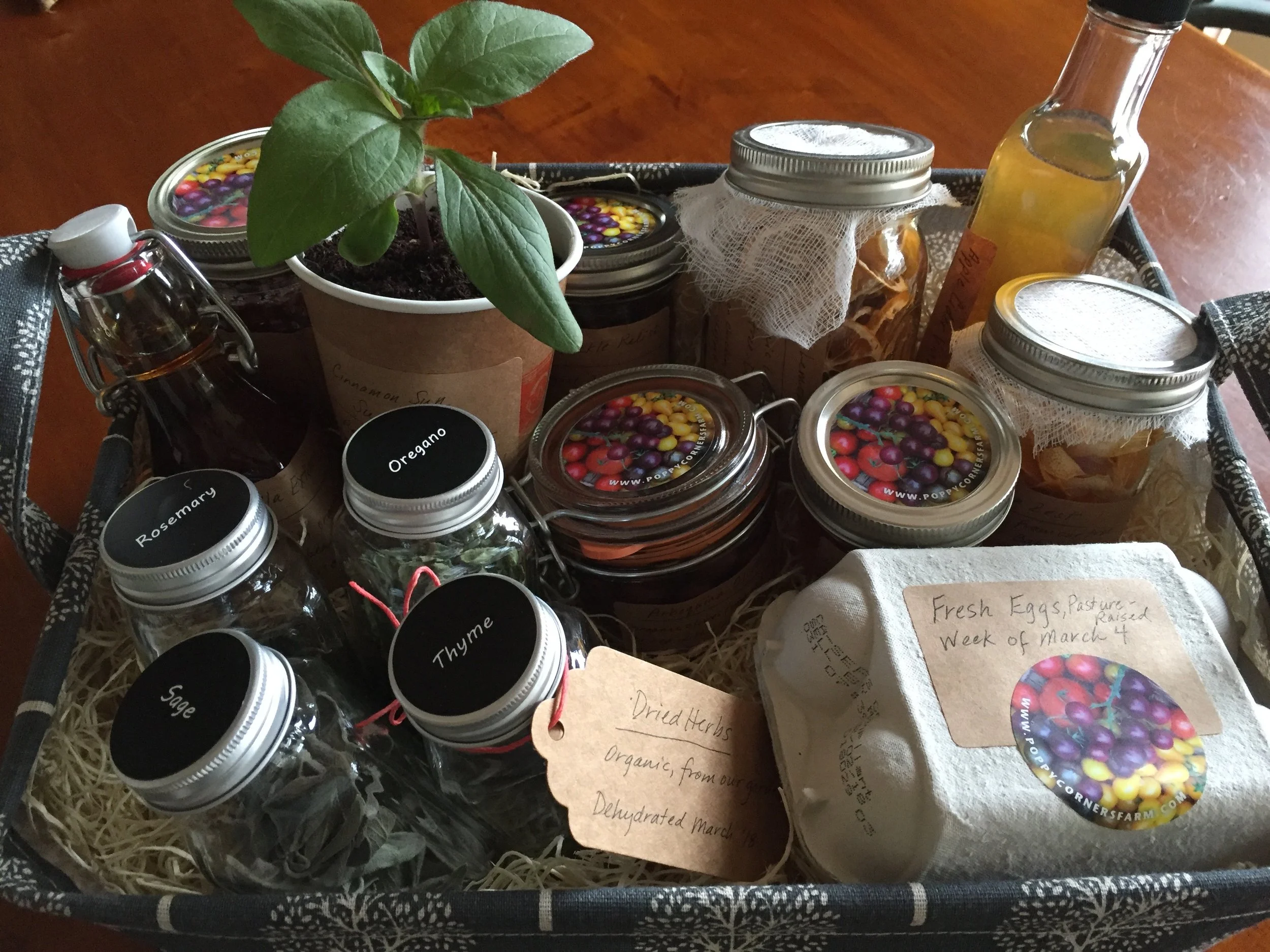 Homemade apple cider vinegar, vanilla extract, honey, jam, cured olives, sweet pickle relish, dried lemons and zest, dried herbs, and fresh eggs. Oh, and a sunflower seedling.