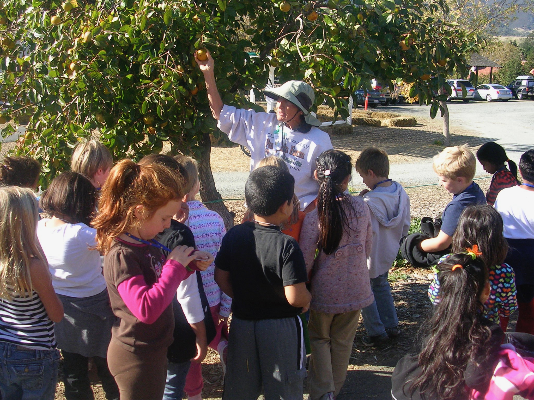 Not the first grade class last week. This is Kate's first grade class on a field trip to a local orchard. Kate's focus is on something else entirely, which has never been unusual for her, but most of the class was pretty into it if I recall correctly. (It was 8 years ago!) 