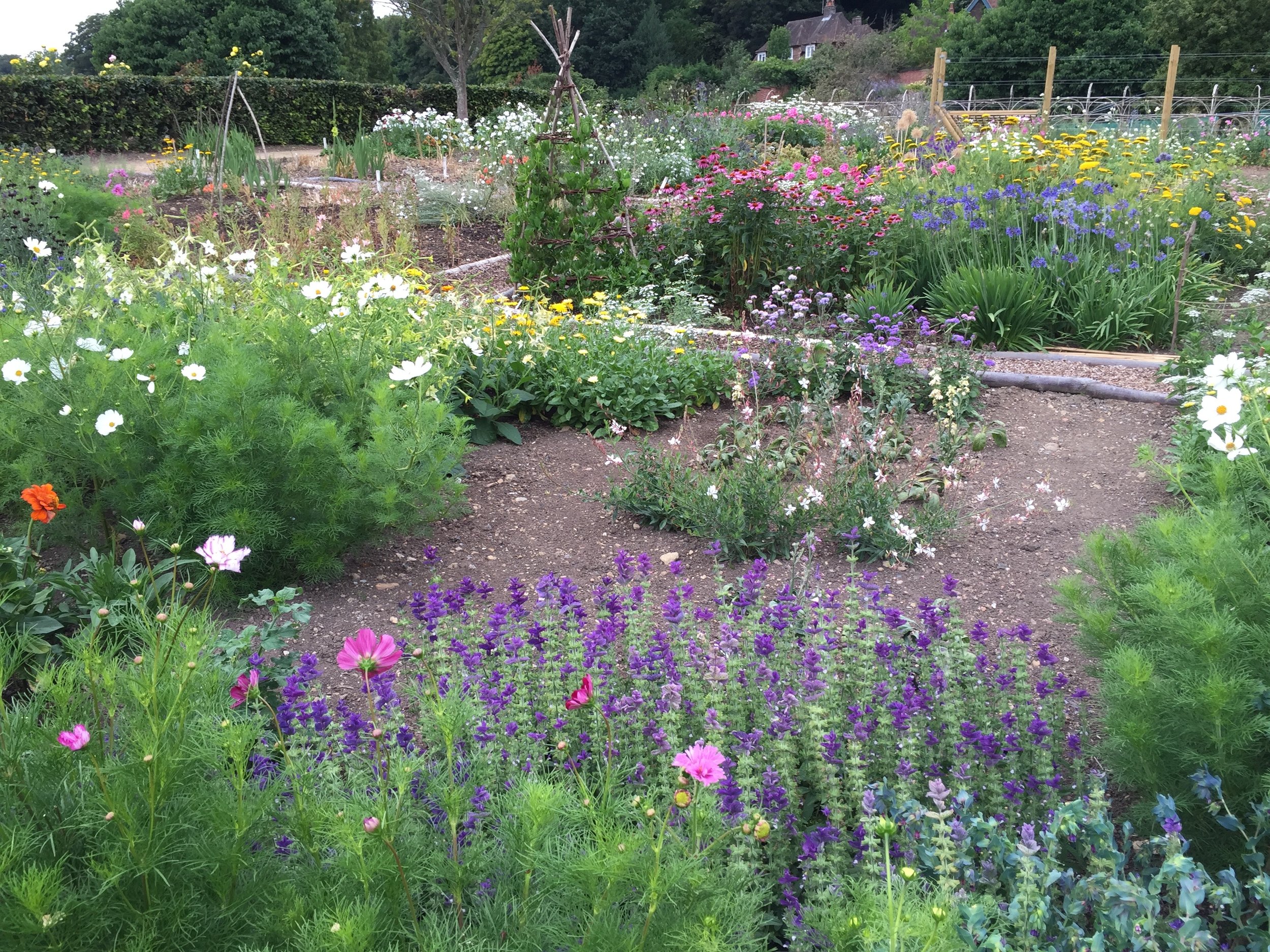 Part of the gardens at Chartwell