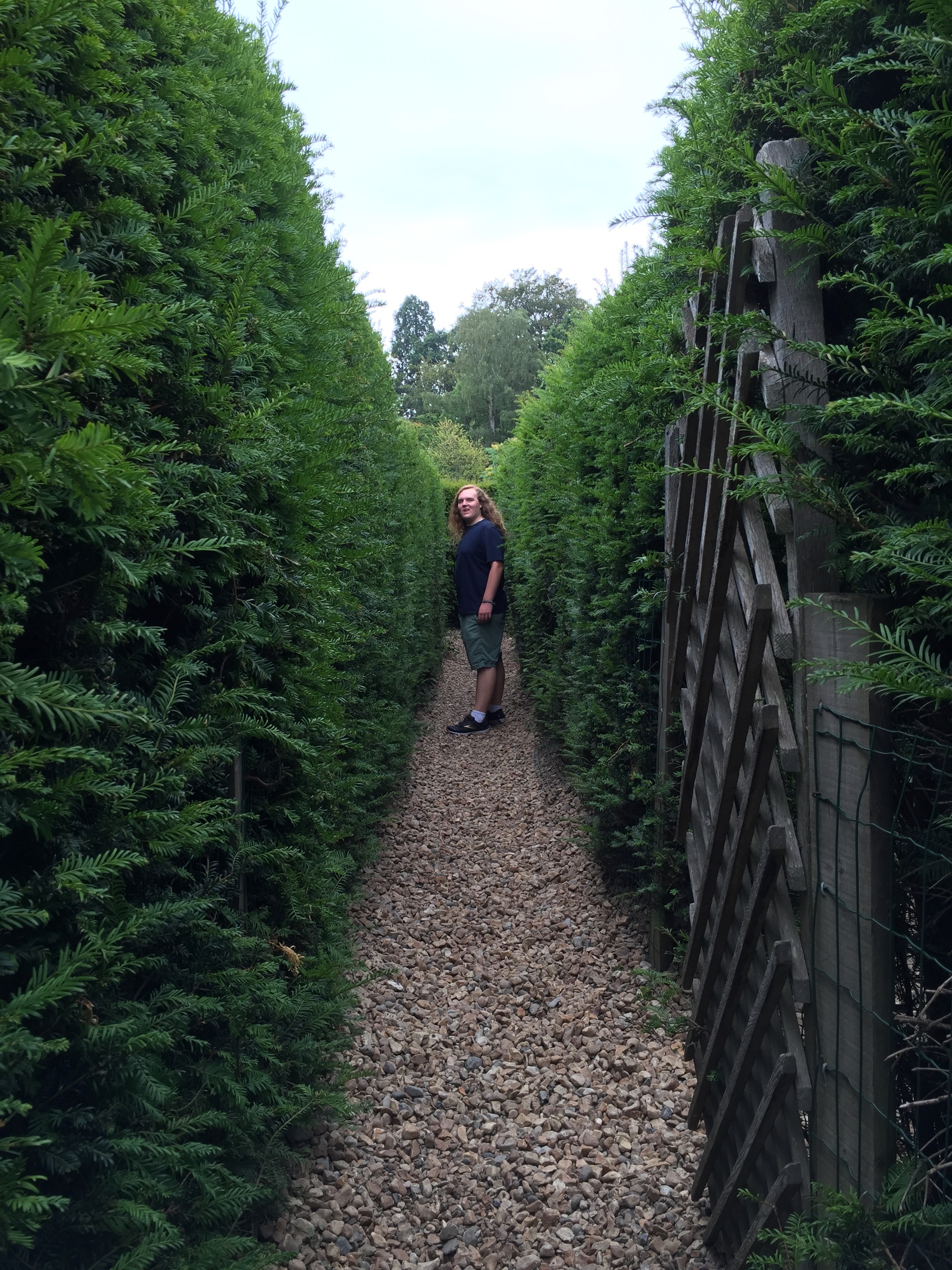 Adam working out the yew maze at Hever