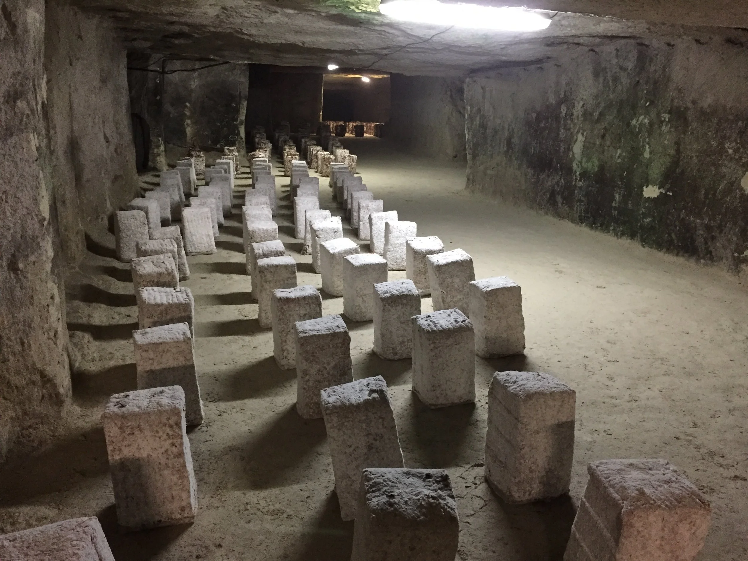 in the cave, the temp is 12 C with 93% humidity. No wonder my CA mushrooms aren't growing.