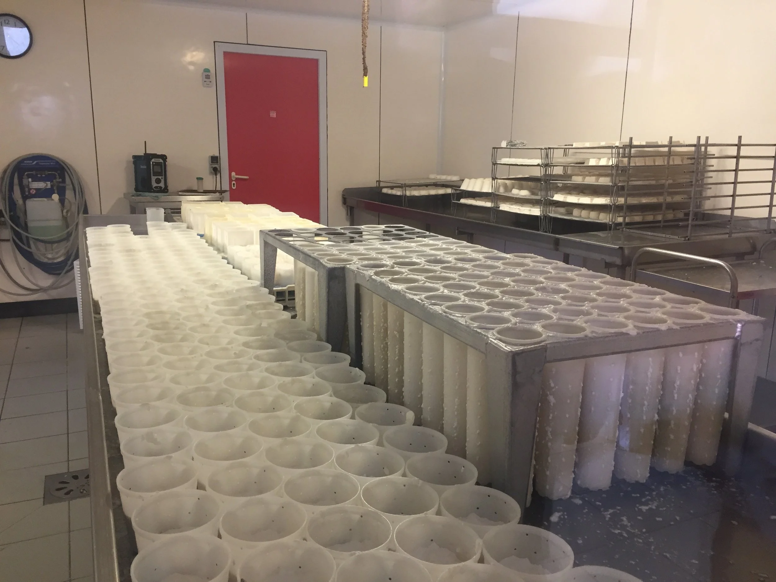 daily chevre-making