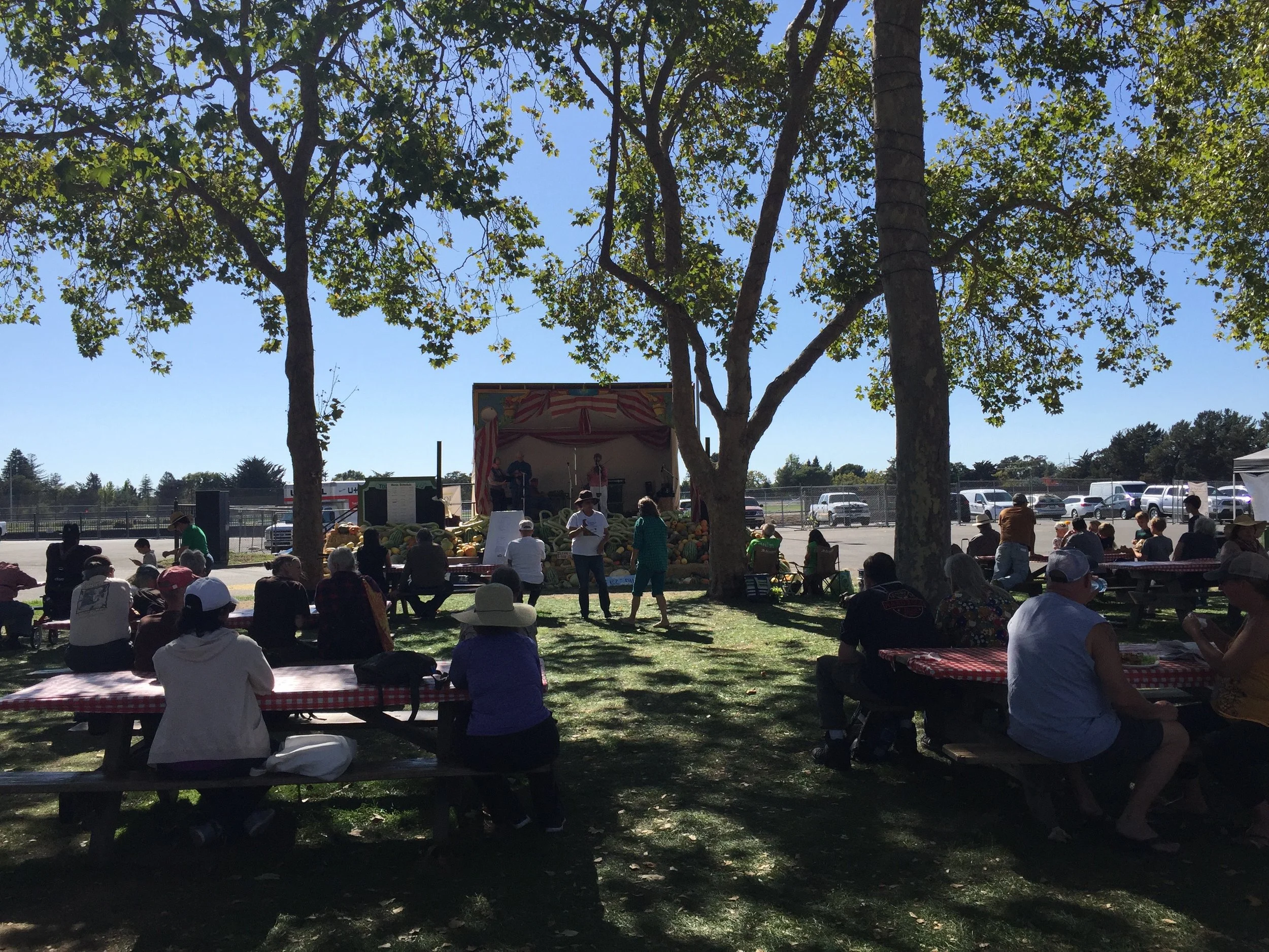 Live music, mostly fiddling. Lots of food. I bought fresh limeade sweetened with agave, some organic fruity iced tea, and a coconut ice cream that was heavenly.