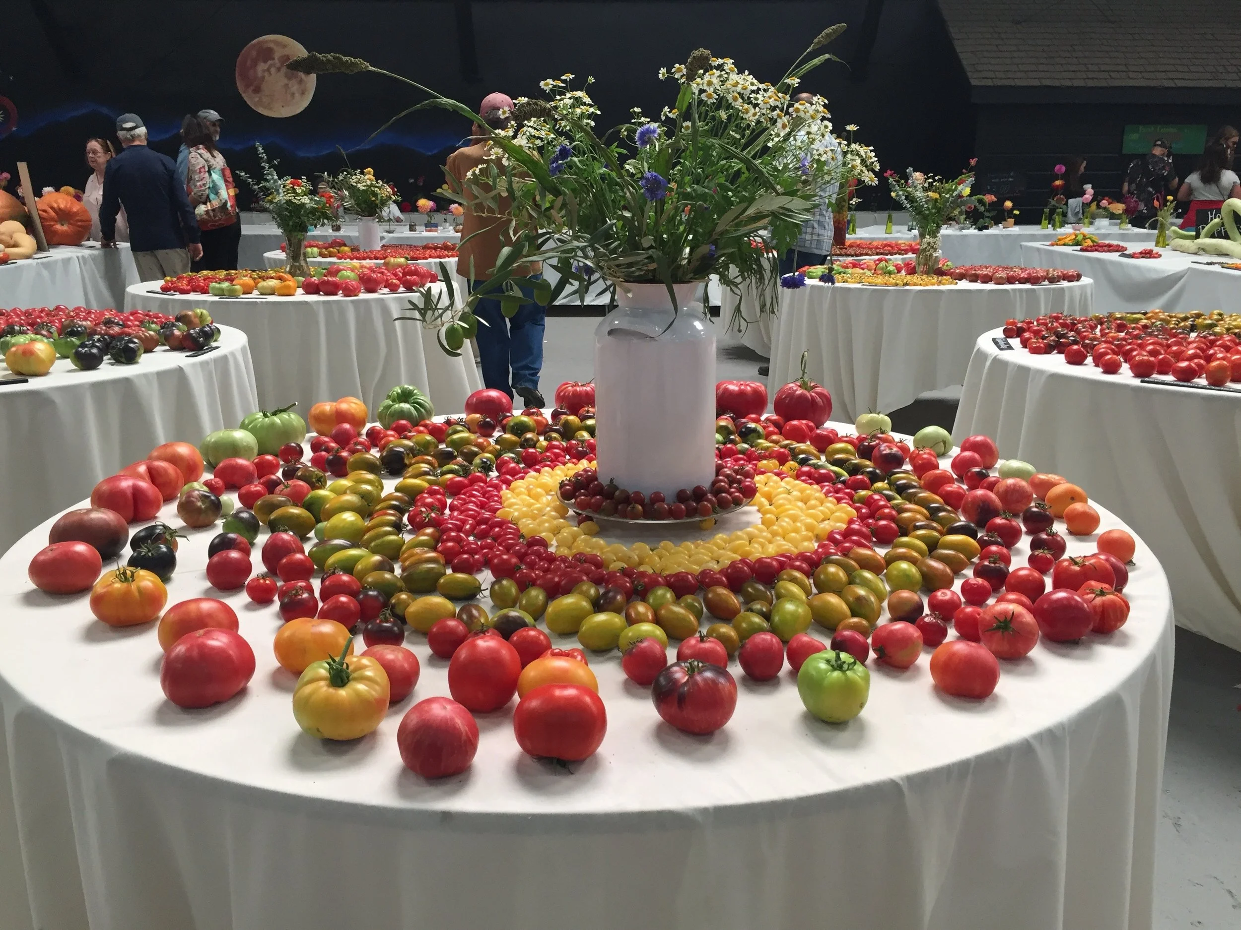 tomato art