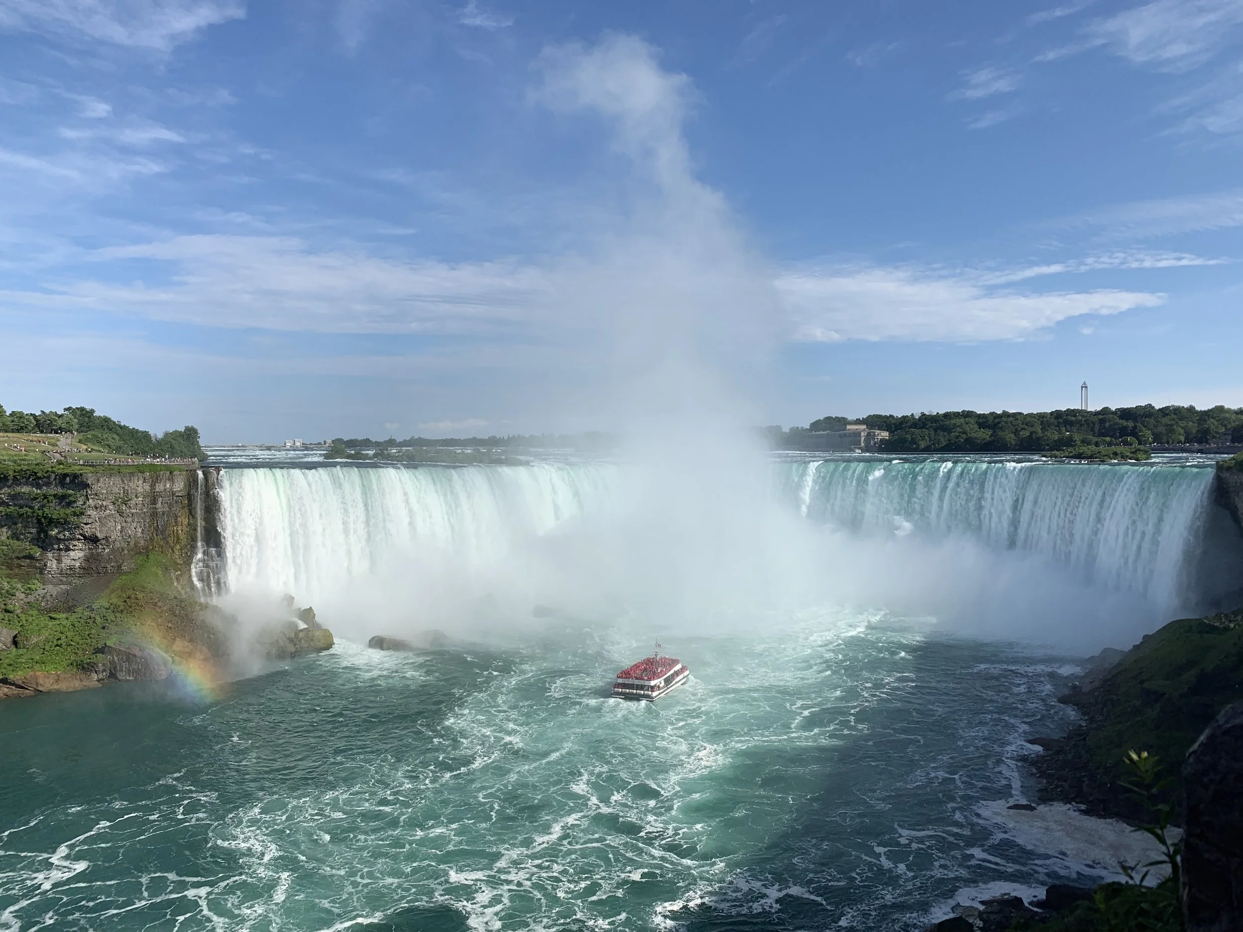 IMG_2765.jpg