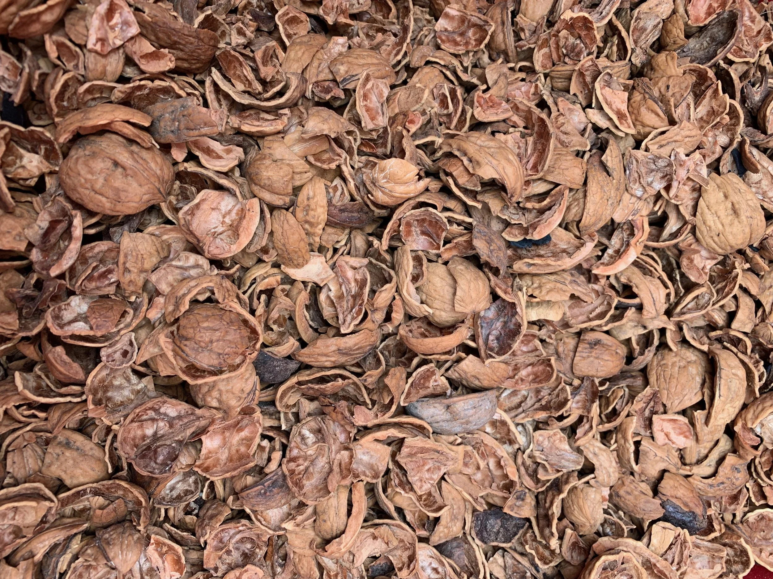 walnut hulls, an abundant waste product from California orchards, which will be turned into biochar