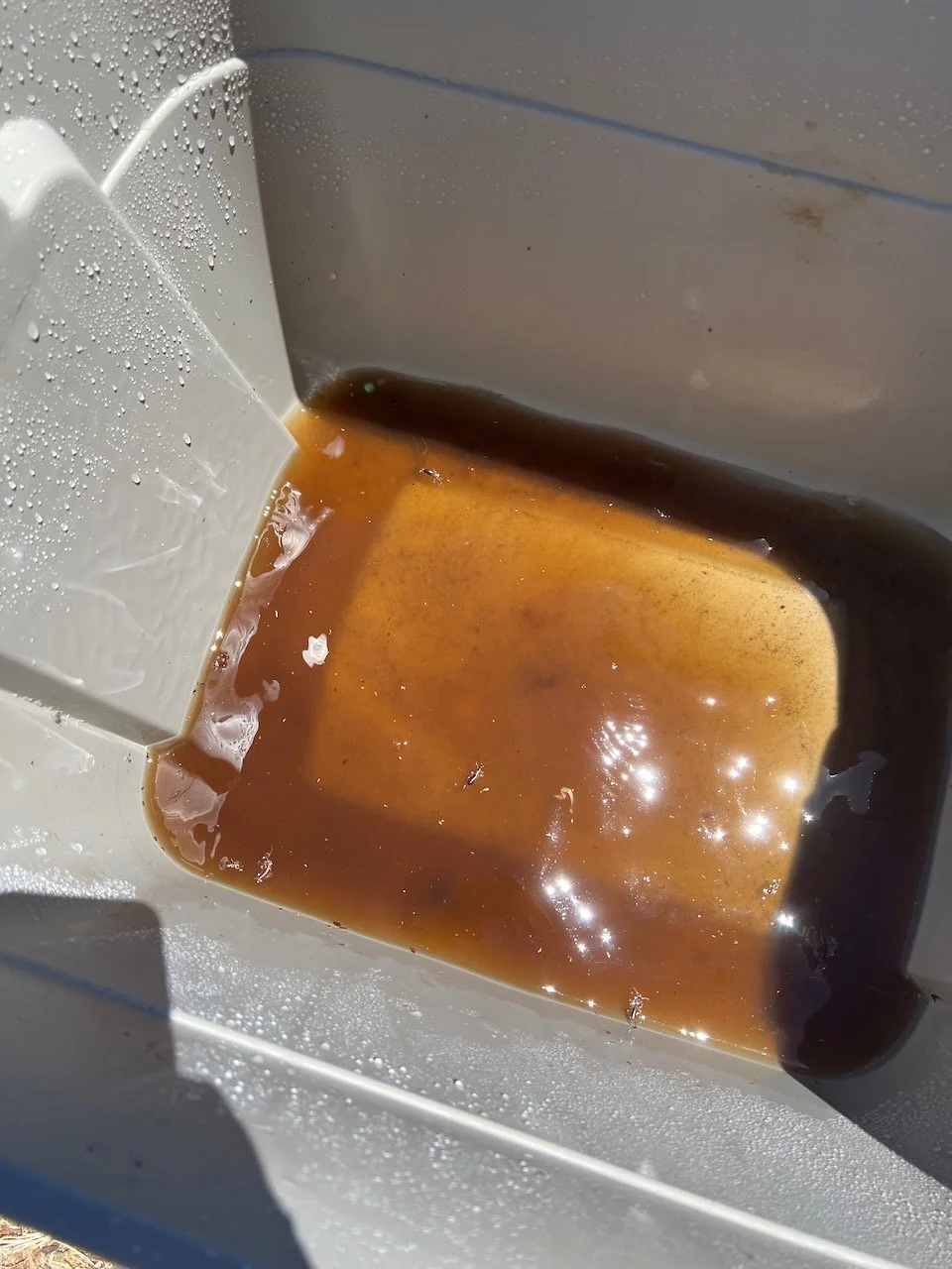 Worm Leachate — Poppy Corners Farm