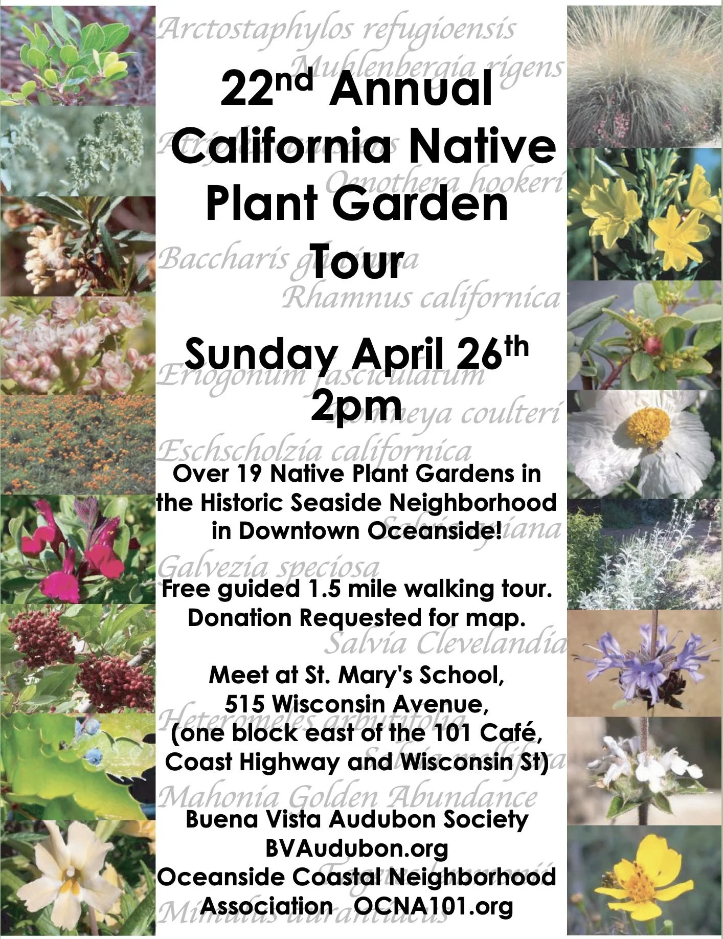 22nd Annual California Native Plant Garden Tour