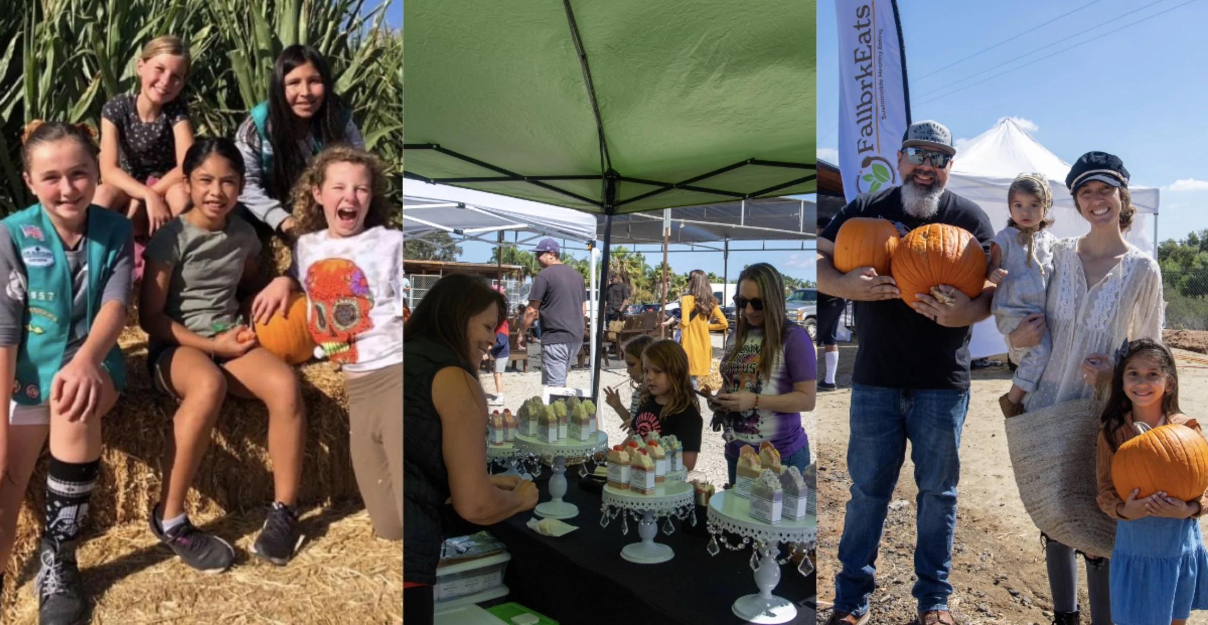 Pumpkin & Marigold Harvest Festival