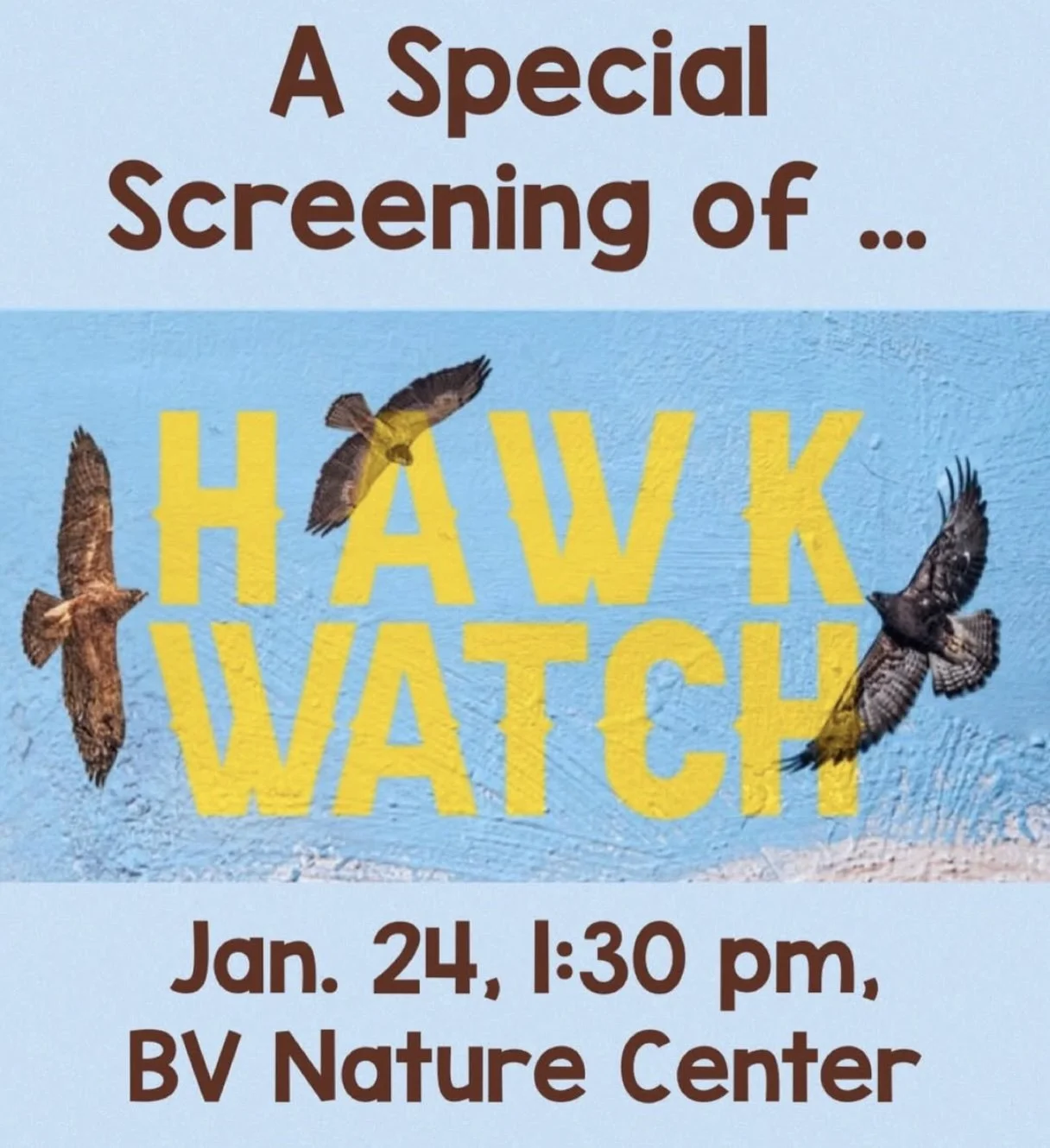 Hawk Watch , A Documentary Film