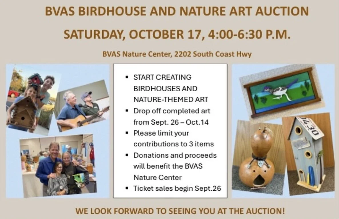 Birdhouse and Nature Art Auction