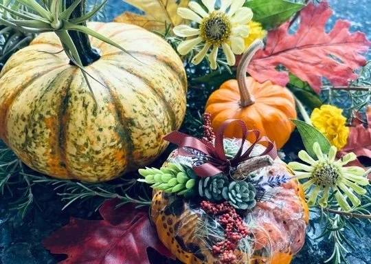 WAAN (We Are All Neighbors) Crafter's Studio