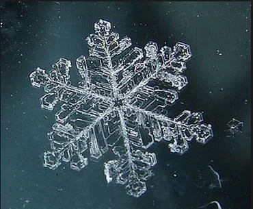 Exquisitely delicate...a snowball is made of millions of these.