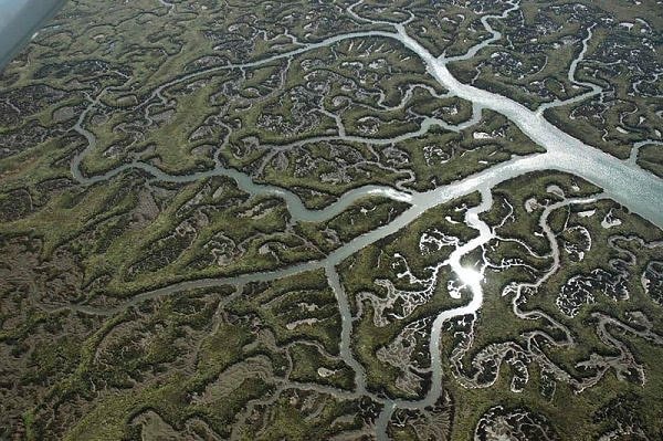 Another fractal masterpiece by Mother Nature.. 