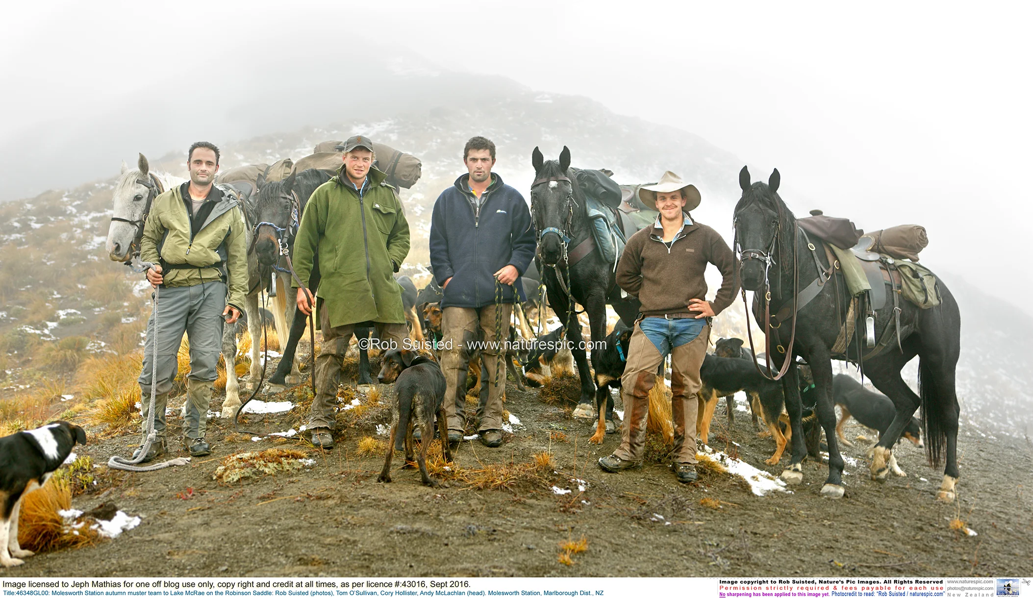 The same story: Classic New Zealand High country musterers. Bare ground and degraded tussock around them attests to generations of profits on short human time scales and Nature's slower answer. Photo kindly supplied by Rob Suisted - www.naturespic.com