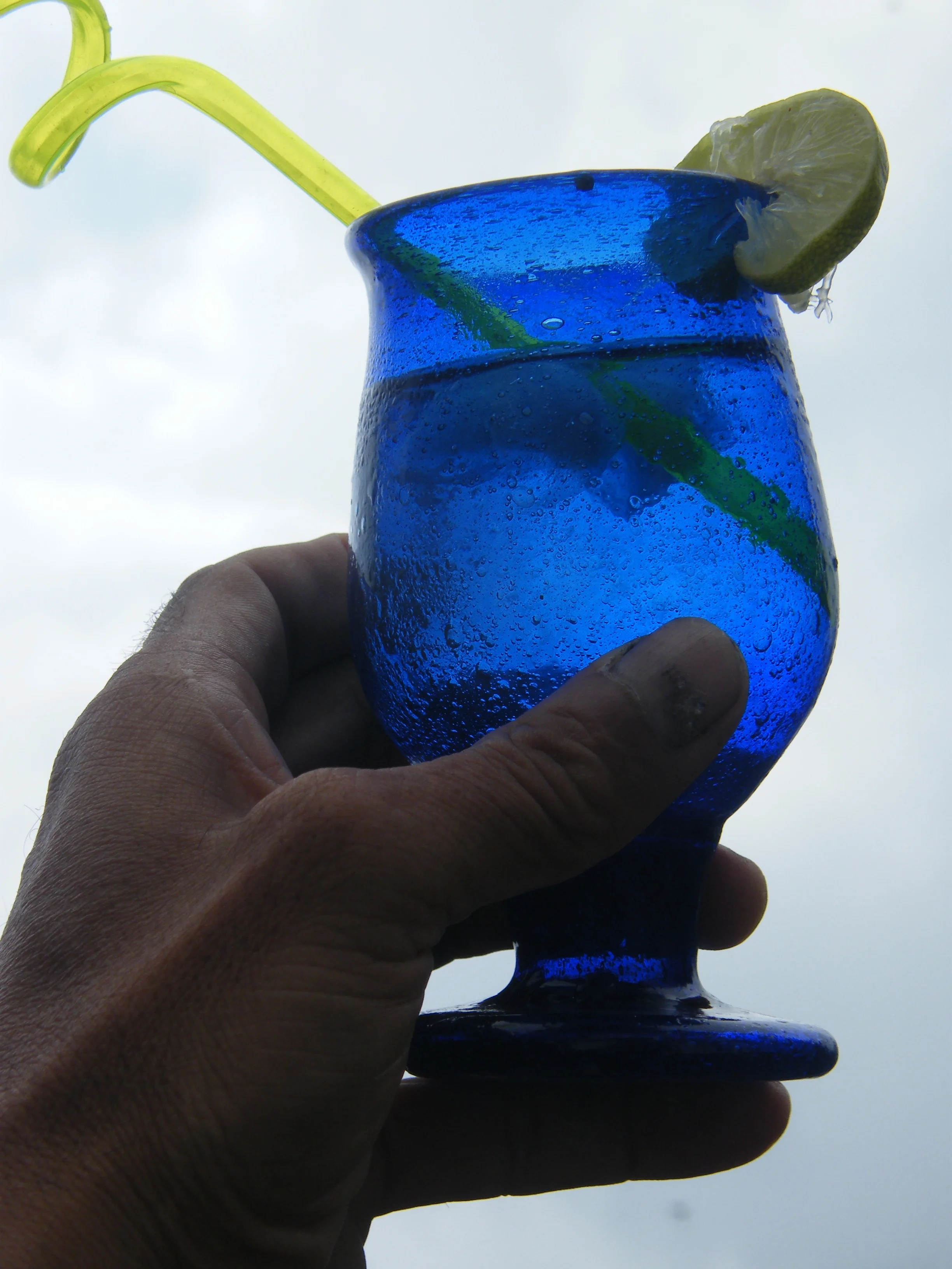Ahh, Life on the Top deck! Just focus on the ice cubes in the Martini not the icebergs on the horizon.